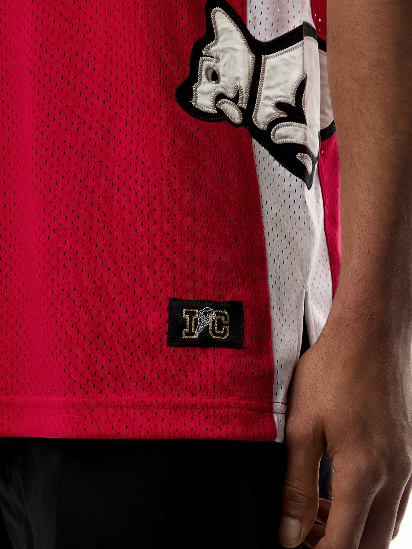 Running Puppy Applique Basketball Vest