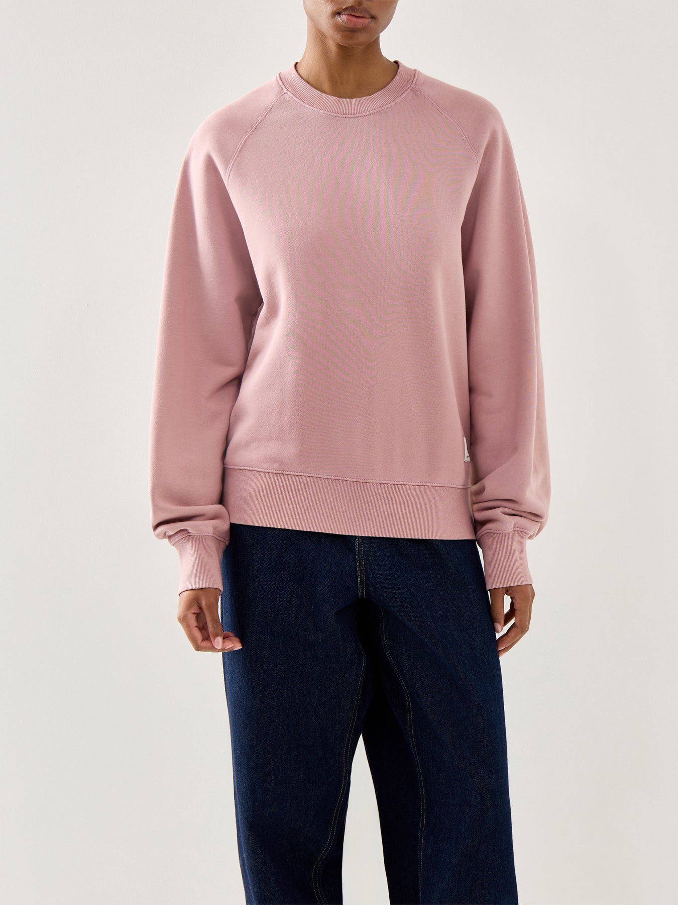 Hudson Long Sleeves Sweatshirt Pink
