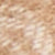 CAMEL/CREAM