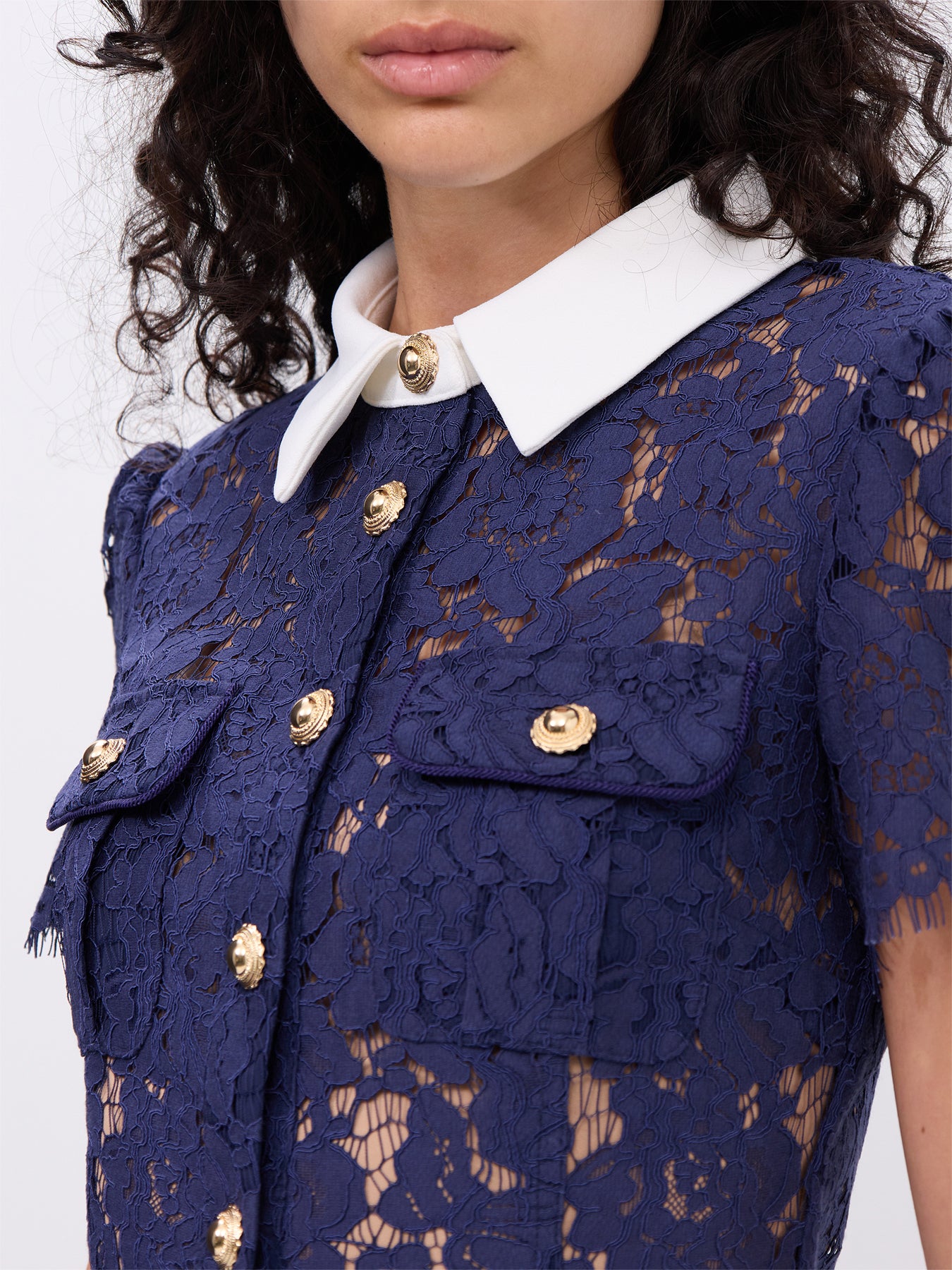 Navy Lace Contrast Collar Midi Dress