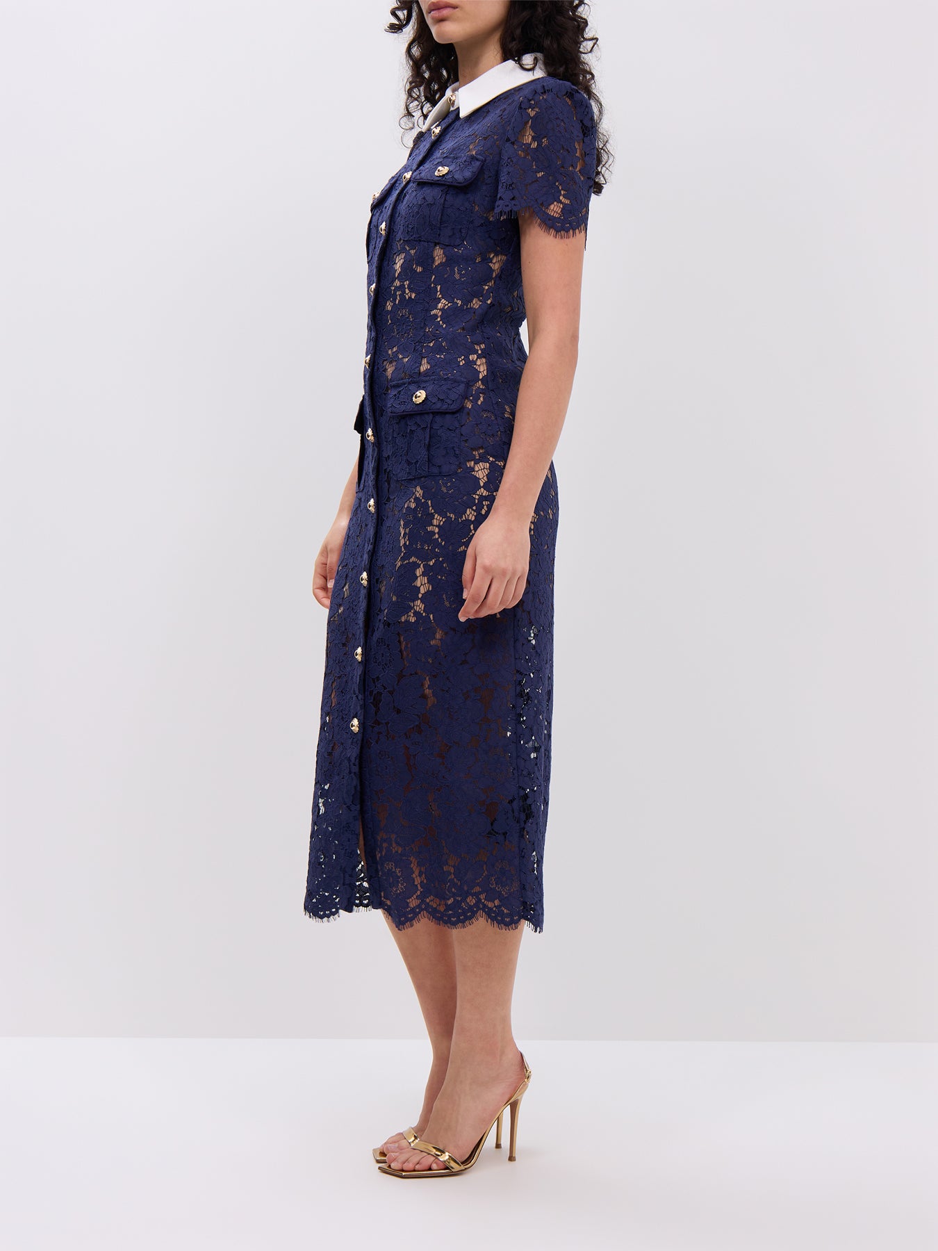 Navy Lace Contrast Collar Midi Dress