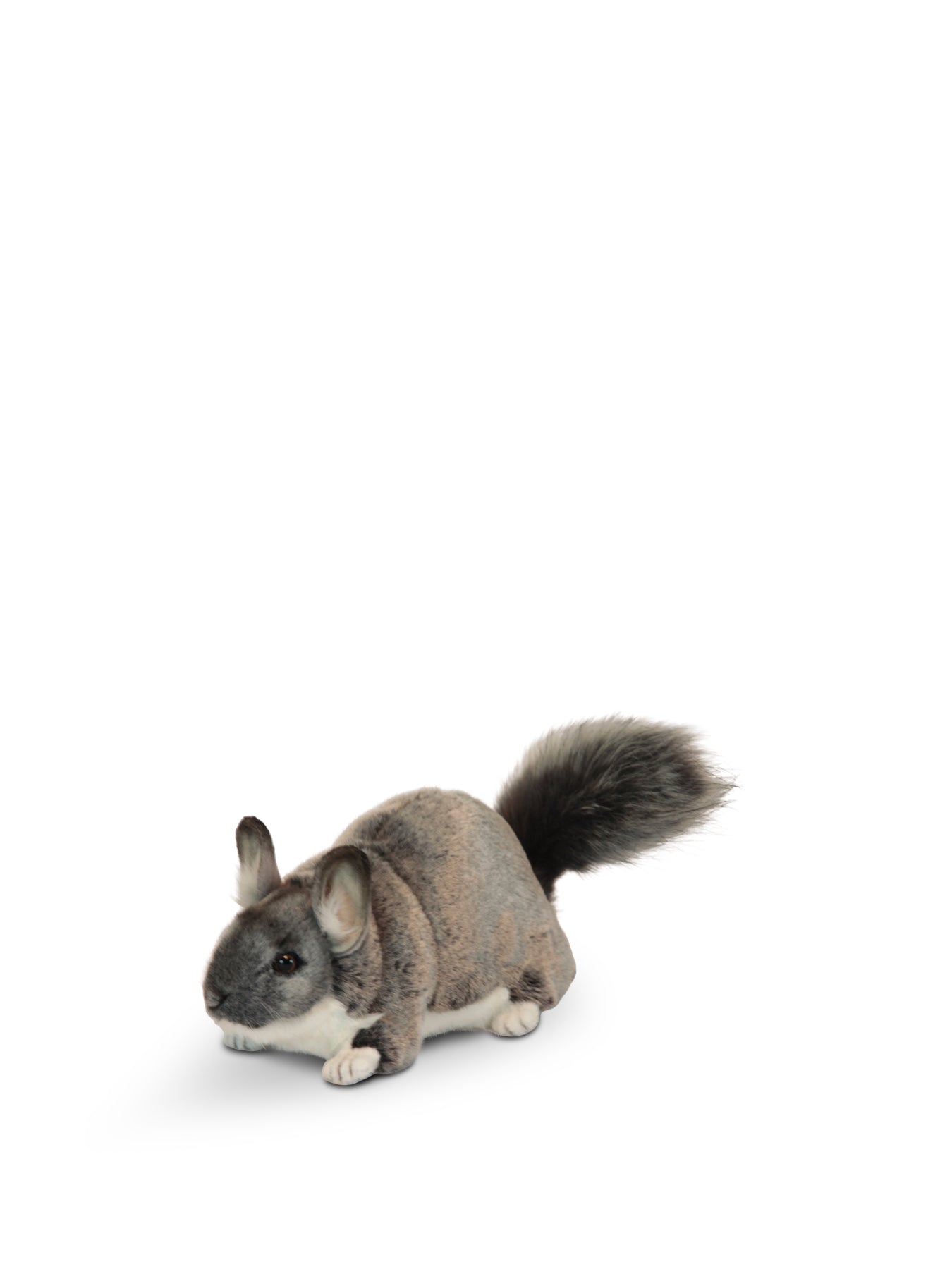 27cm Chinchilla Soft Toy
