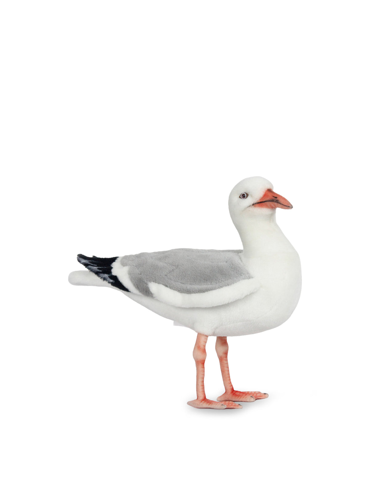 Seagull with Herring Soft Toy