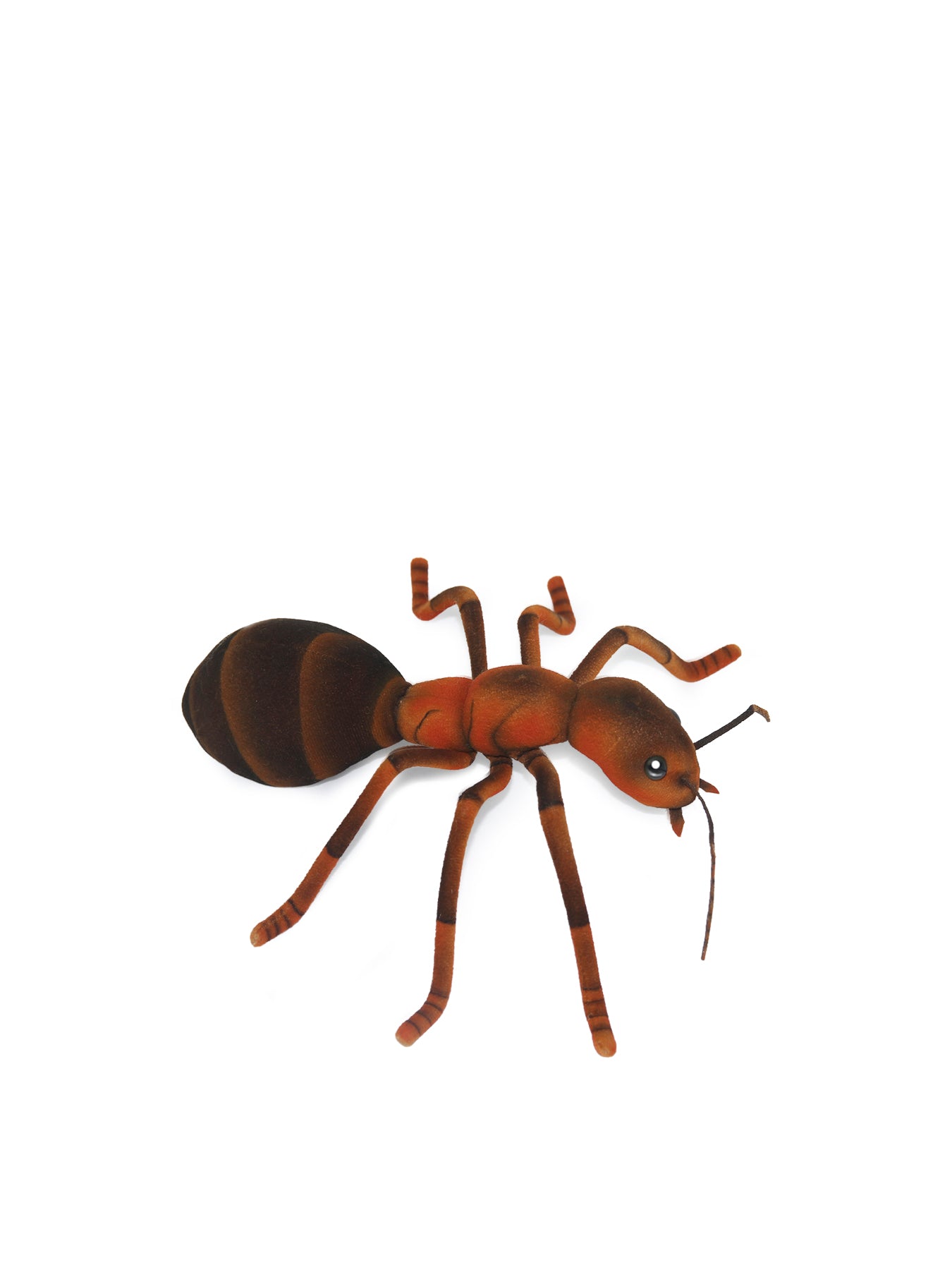 Ant Soft Toy