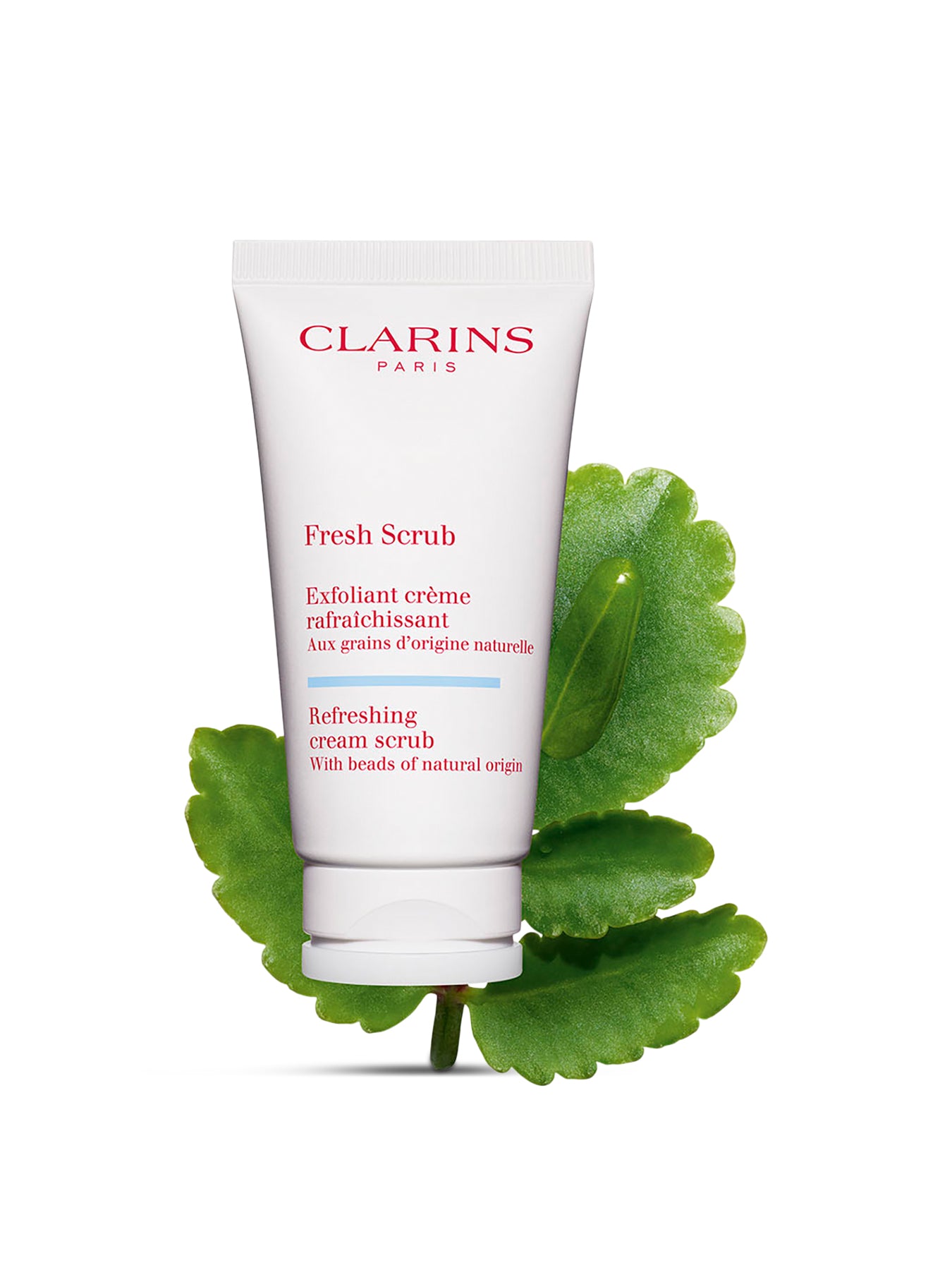 Fresh Scrub 50ml