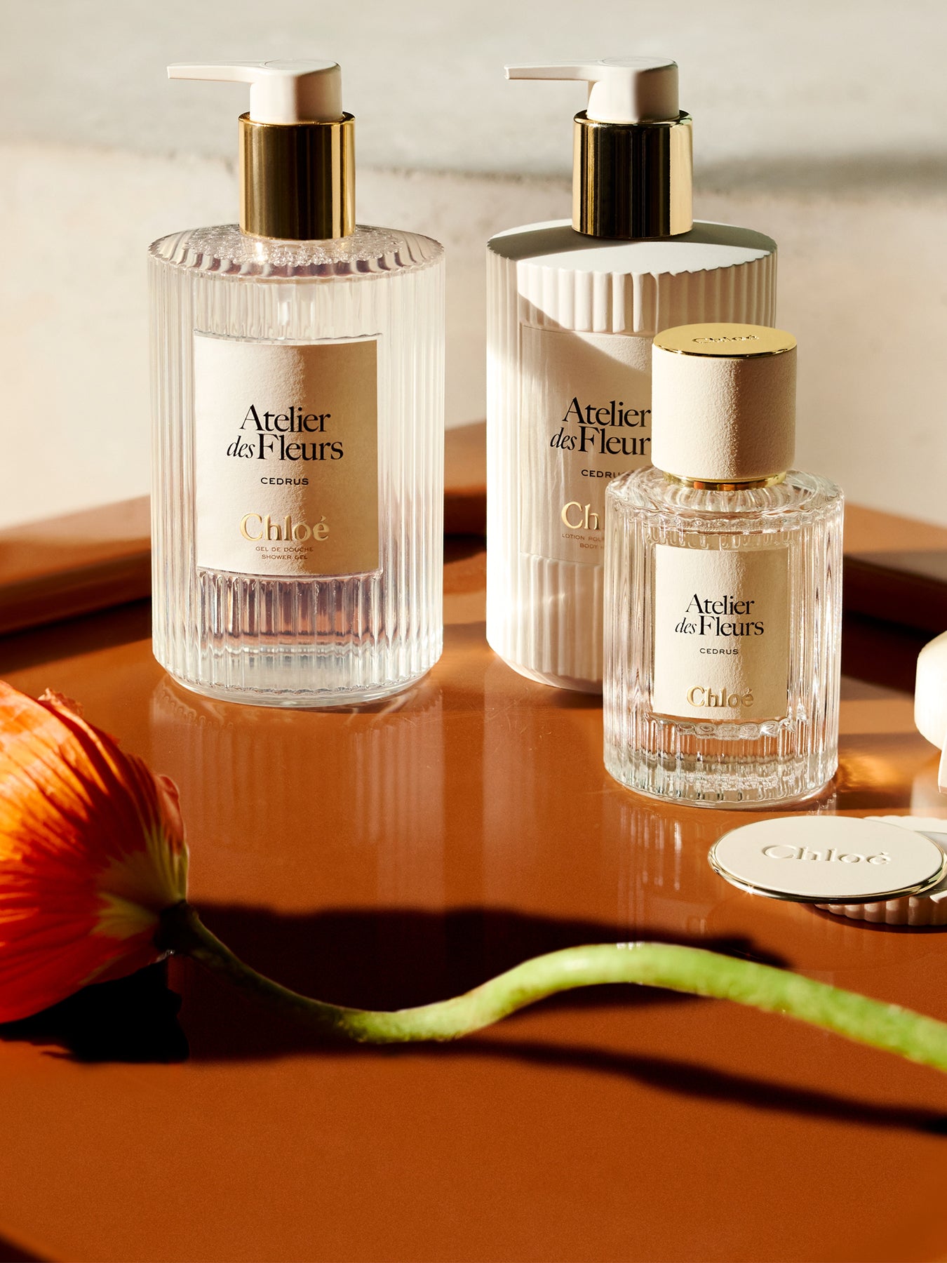 Magnolia Alba Solid Perfume Refills 2 x 3g