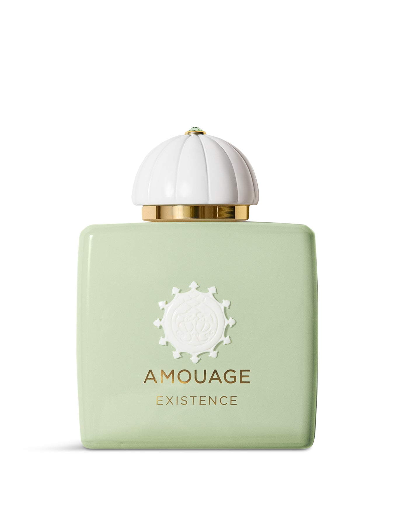 Amouage Odyssey Existence Eau de Parfum 100ml