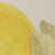 Limone Floral