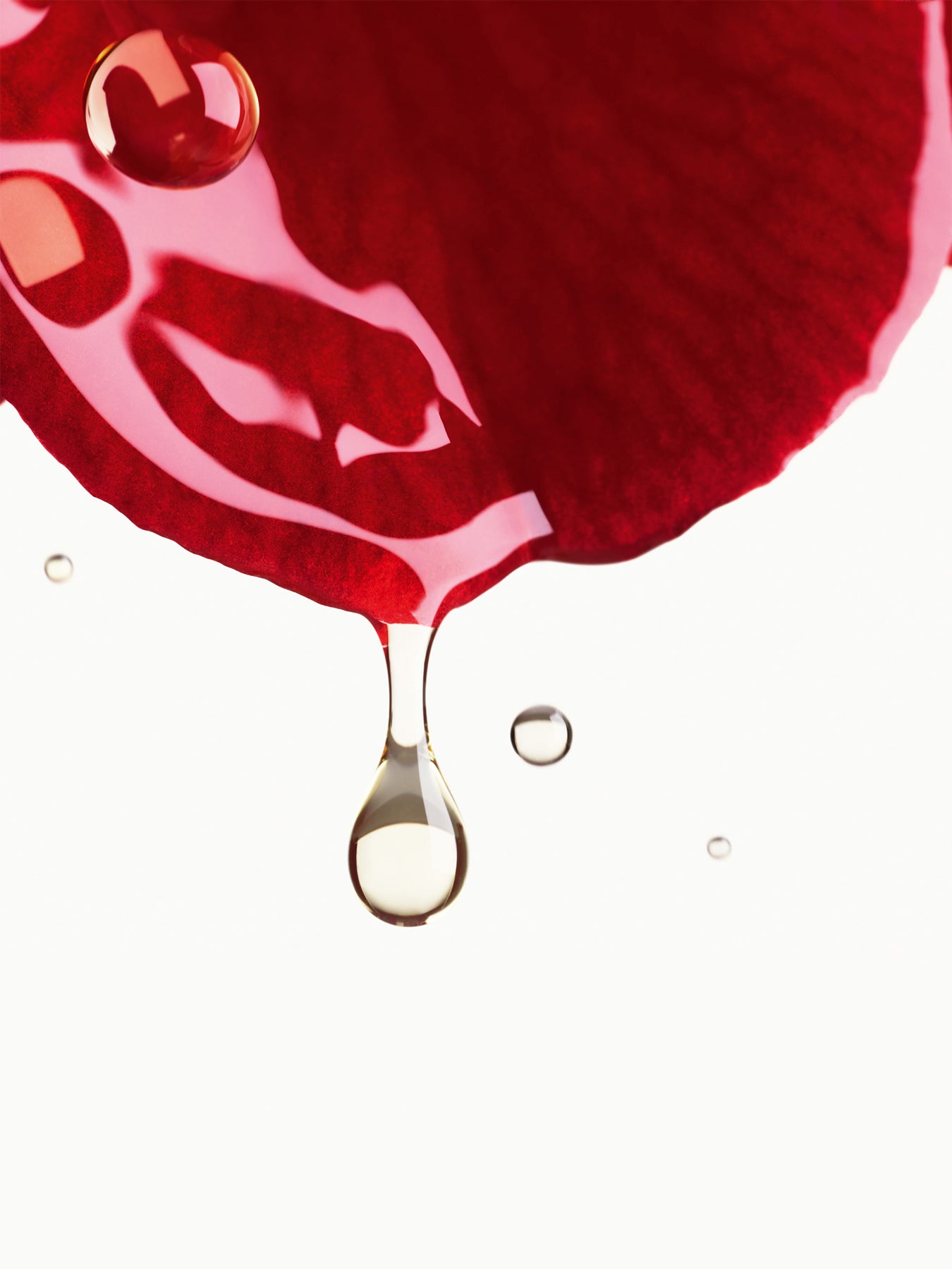 N°1 Serum Mist 50ml