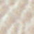 Vanilla/Acorn