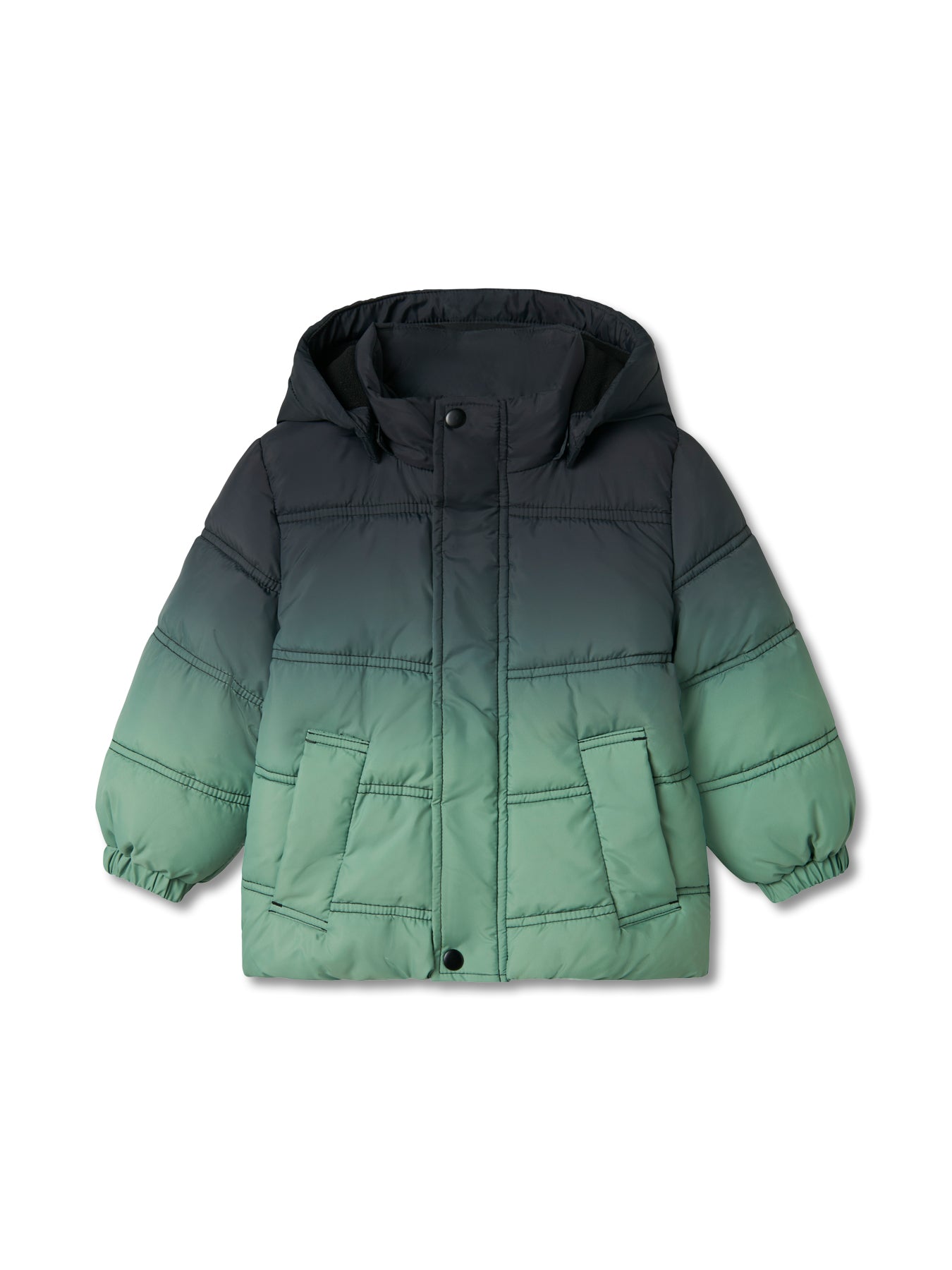Puffer Jacket Dark Ivy Gradient