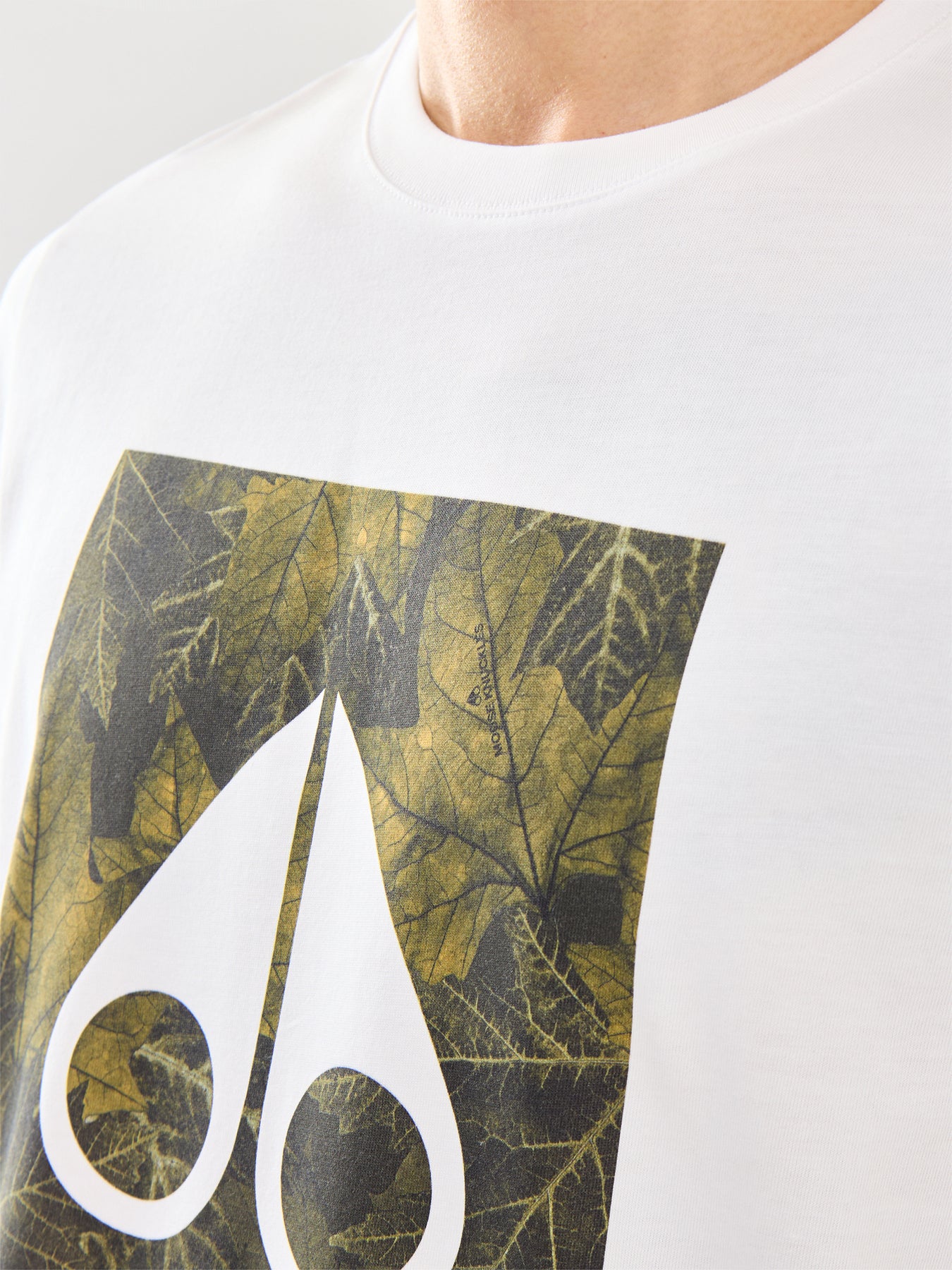 Hemlock Cotton Tee White