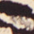 Sun Leo Tan