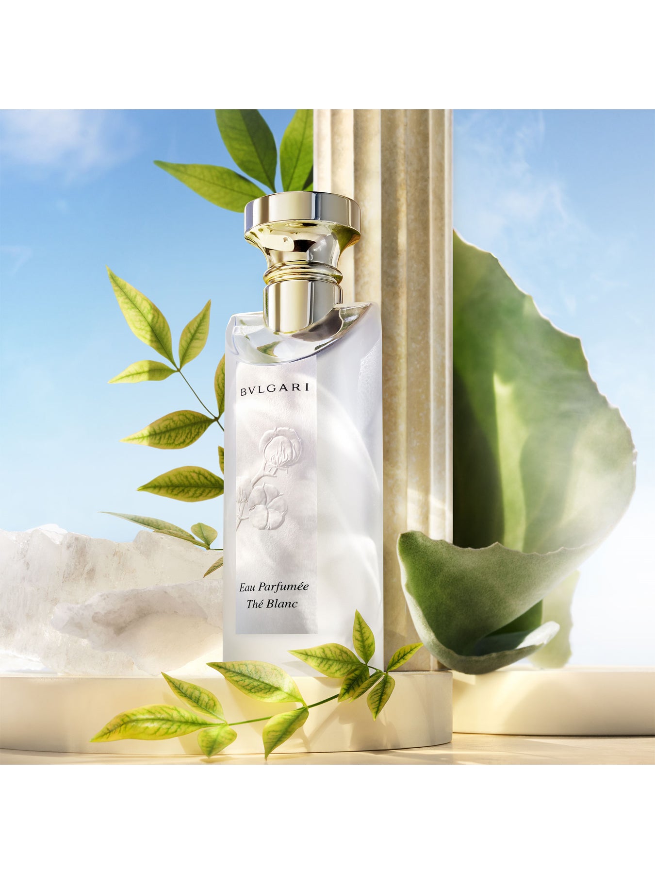 Bvlgari | Eau Parfumee The Blanc Eau de Toilette 75ml – Fenwick