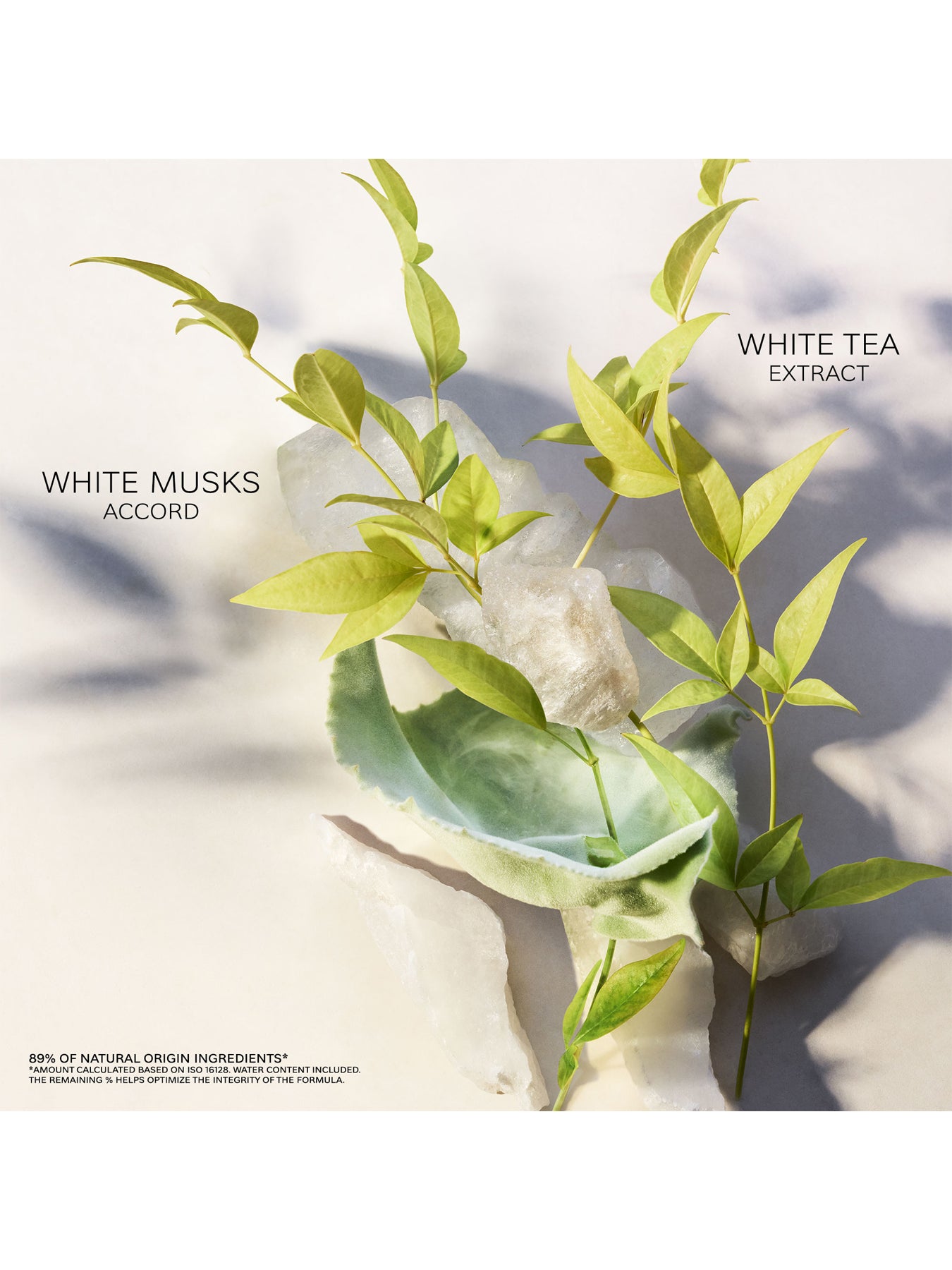 Eau Parfumee The Blanc Eau de Toilette 150ml