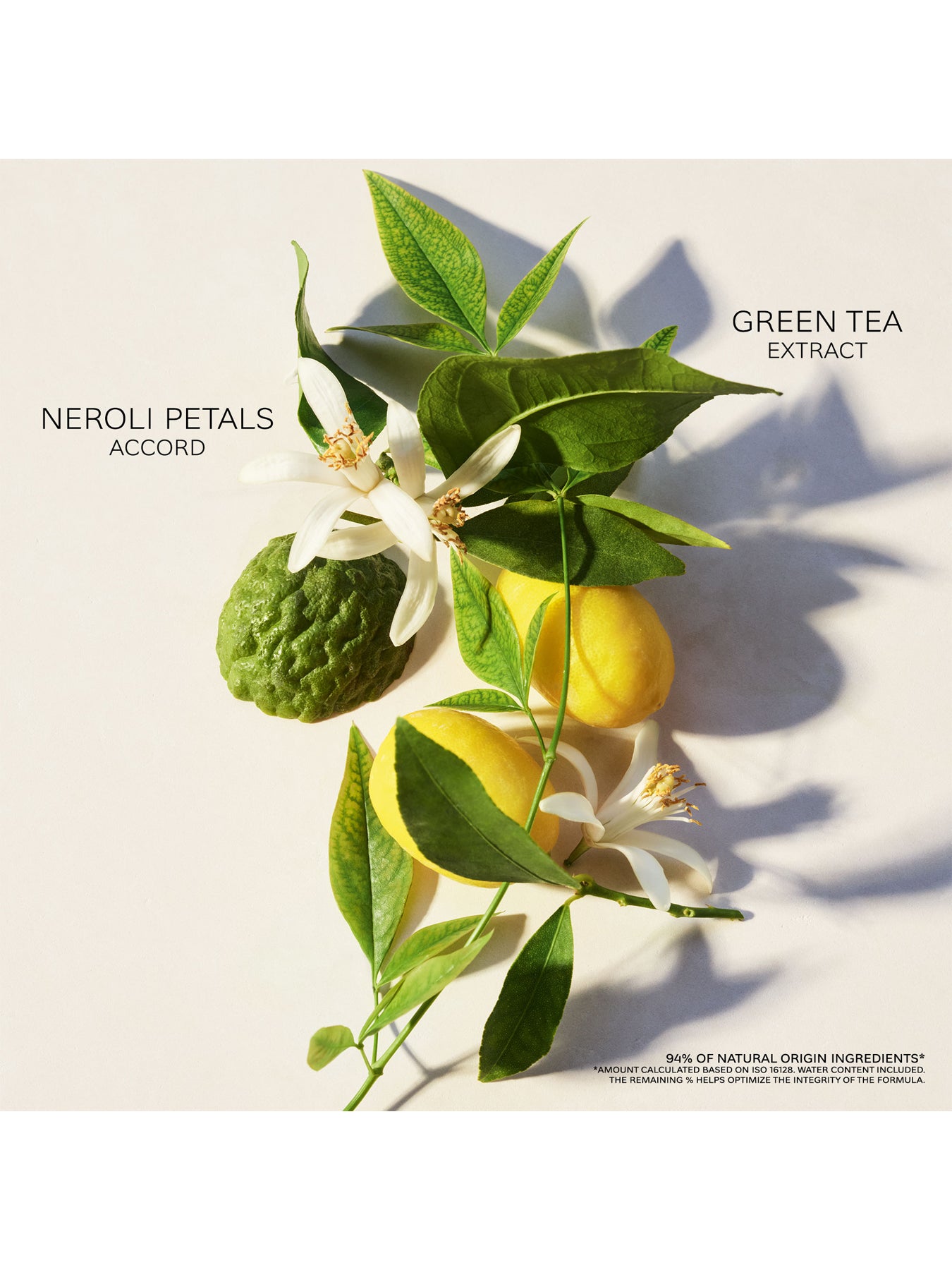 Eau Parfumee The Vert Eau de Toilette 150ml