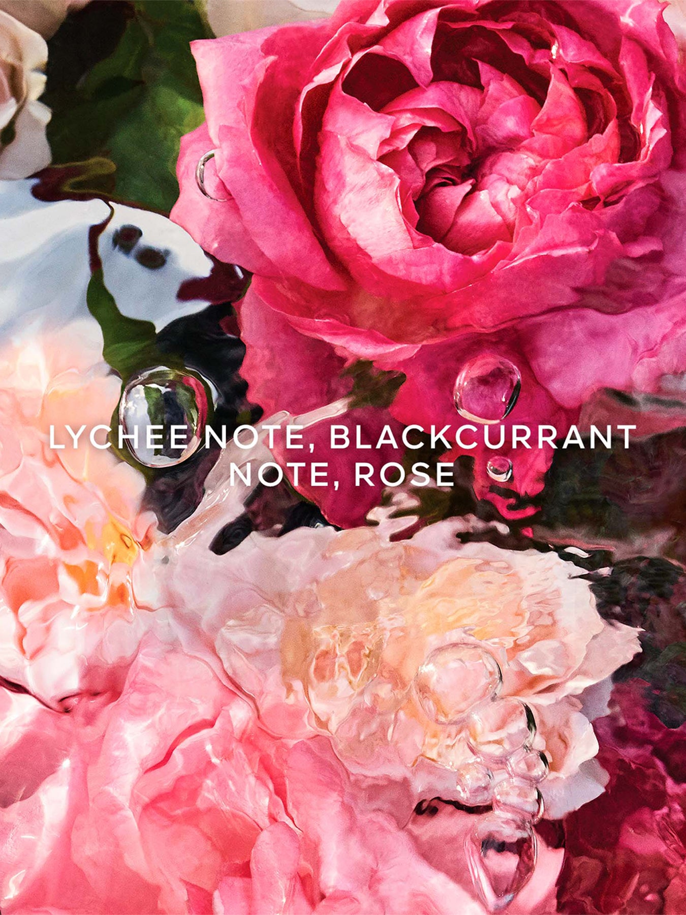 Aqua Allegoria Rosa Rossa Hand Cream 50ml