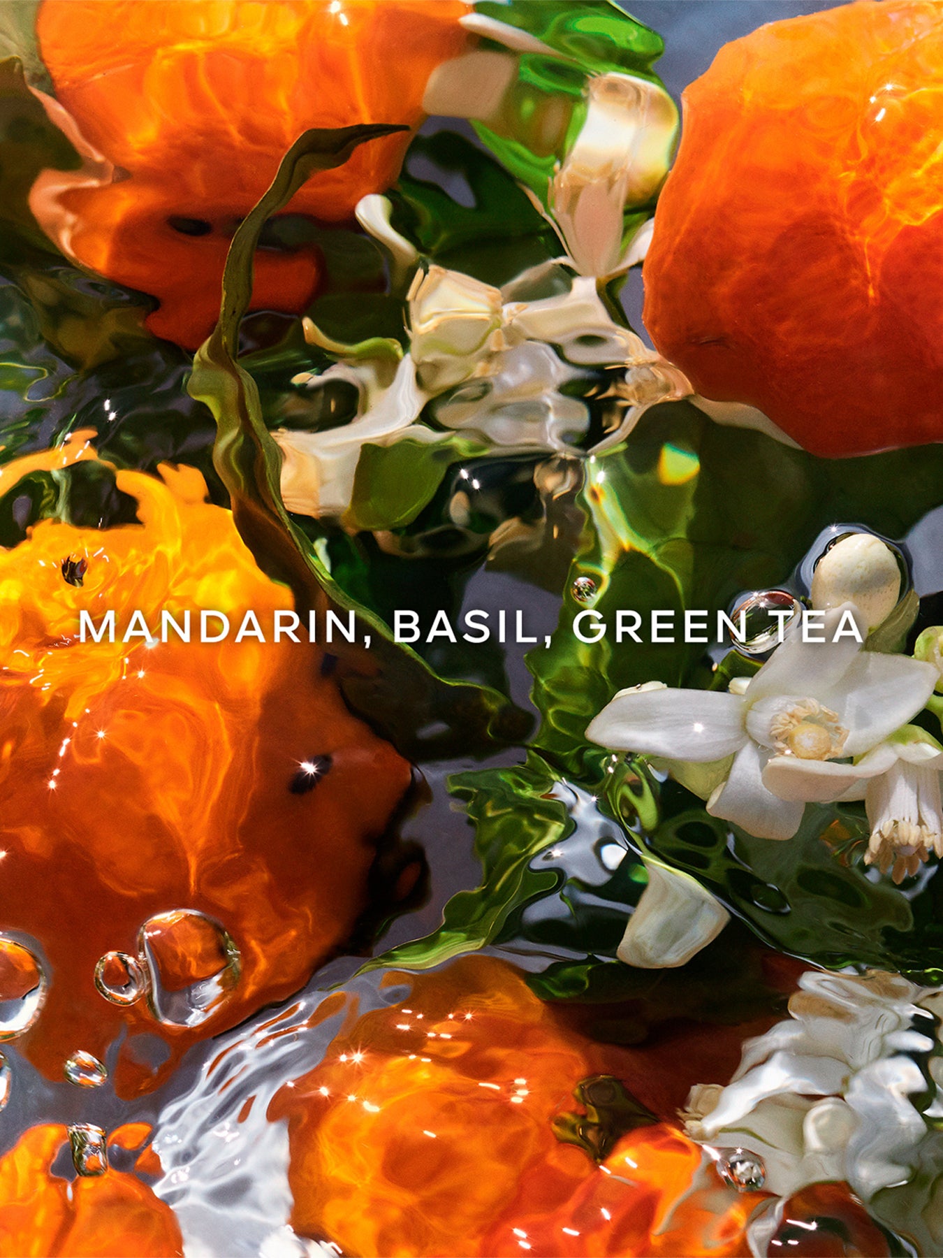 Aqua Allegoria Mandarine Basilic Hand Cream 50ml