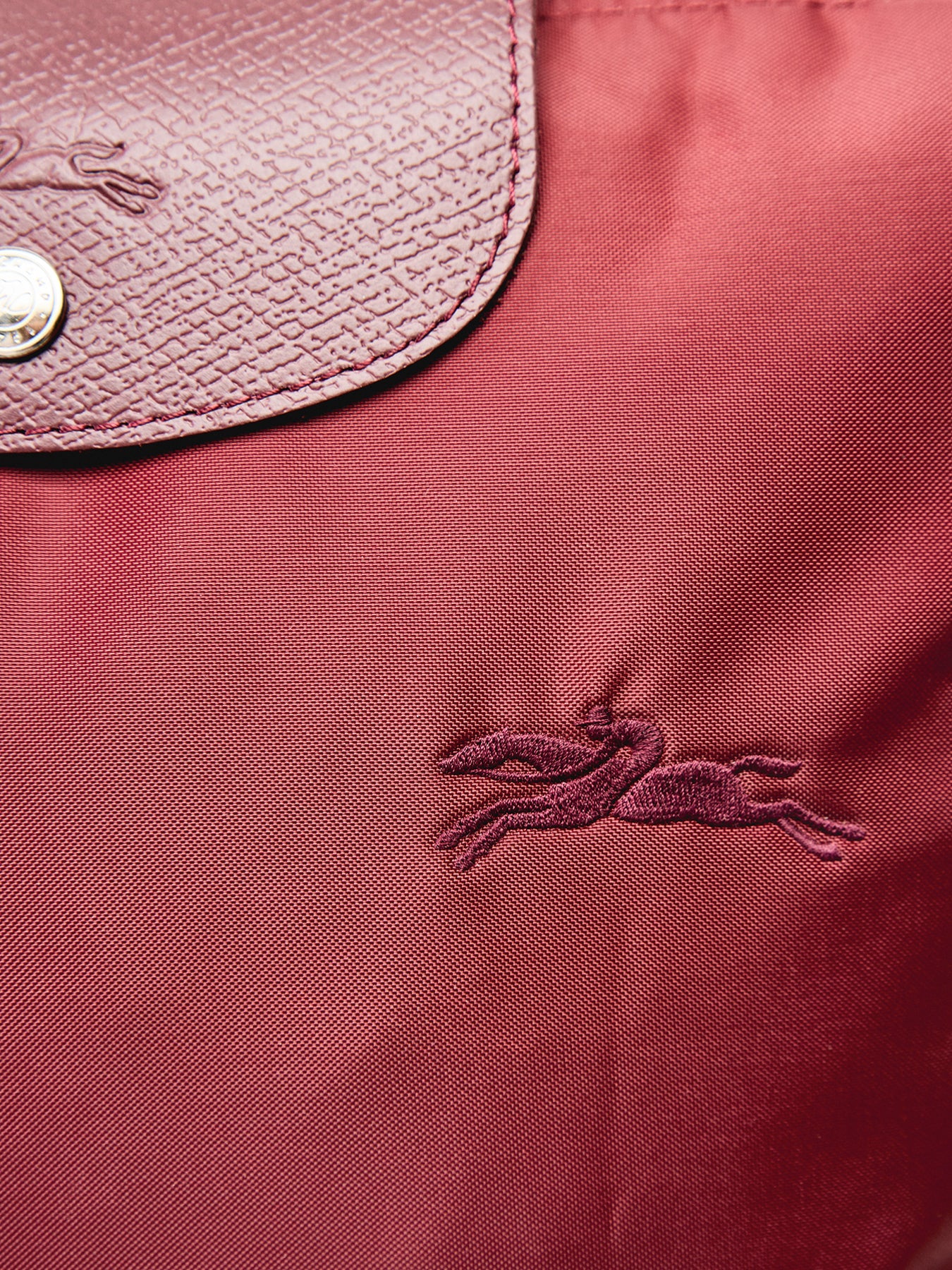 Le Pliage Green Medium Backpack Pomegranate Canvas