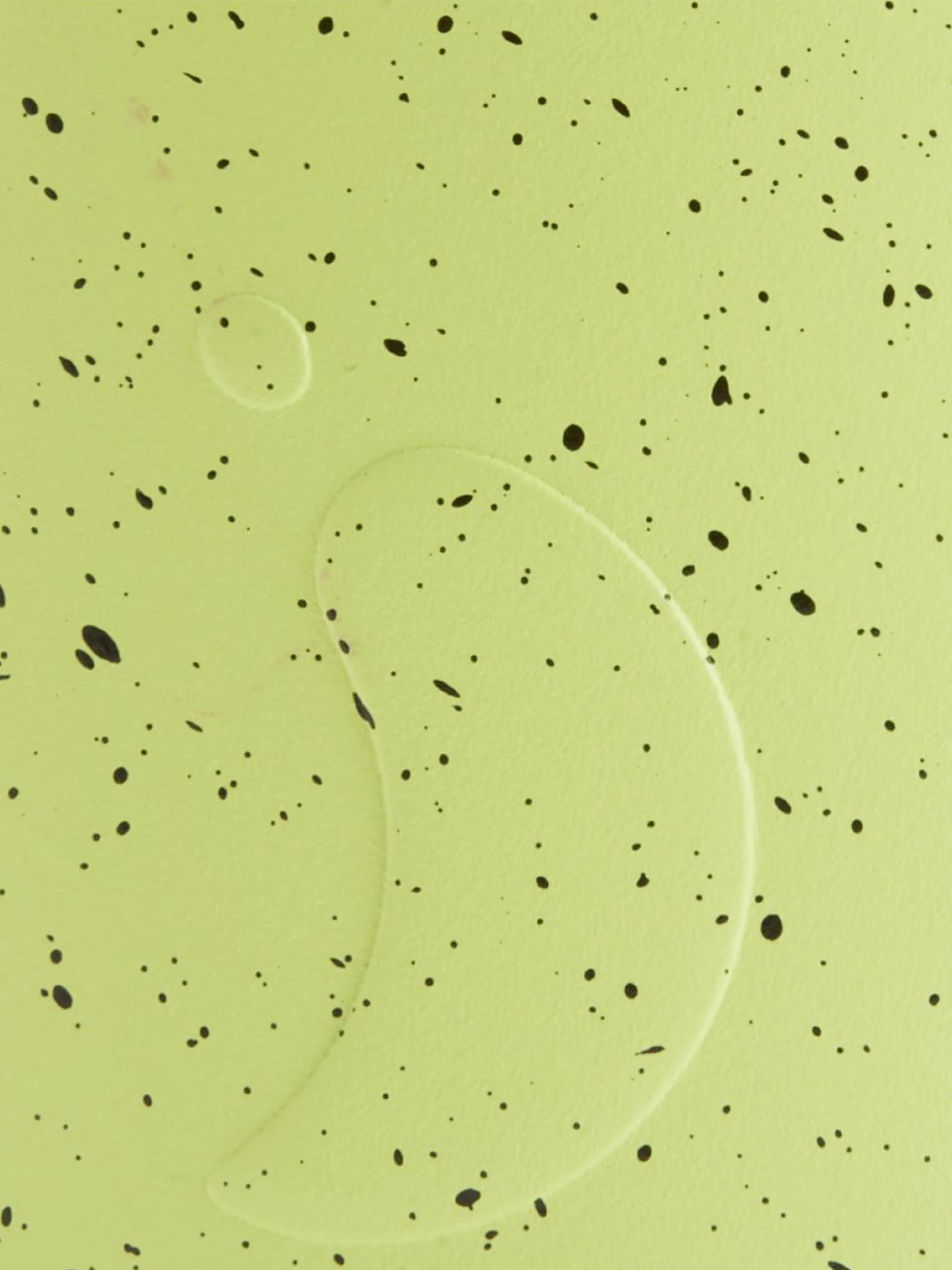 Series 2 Bottle Limelite