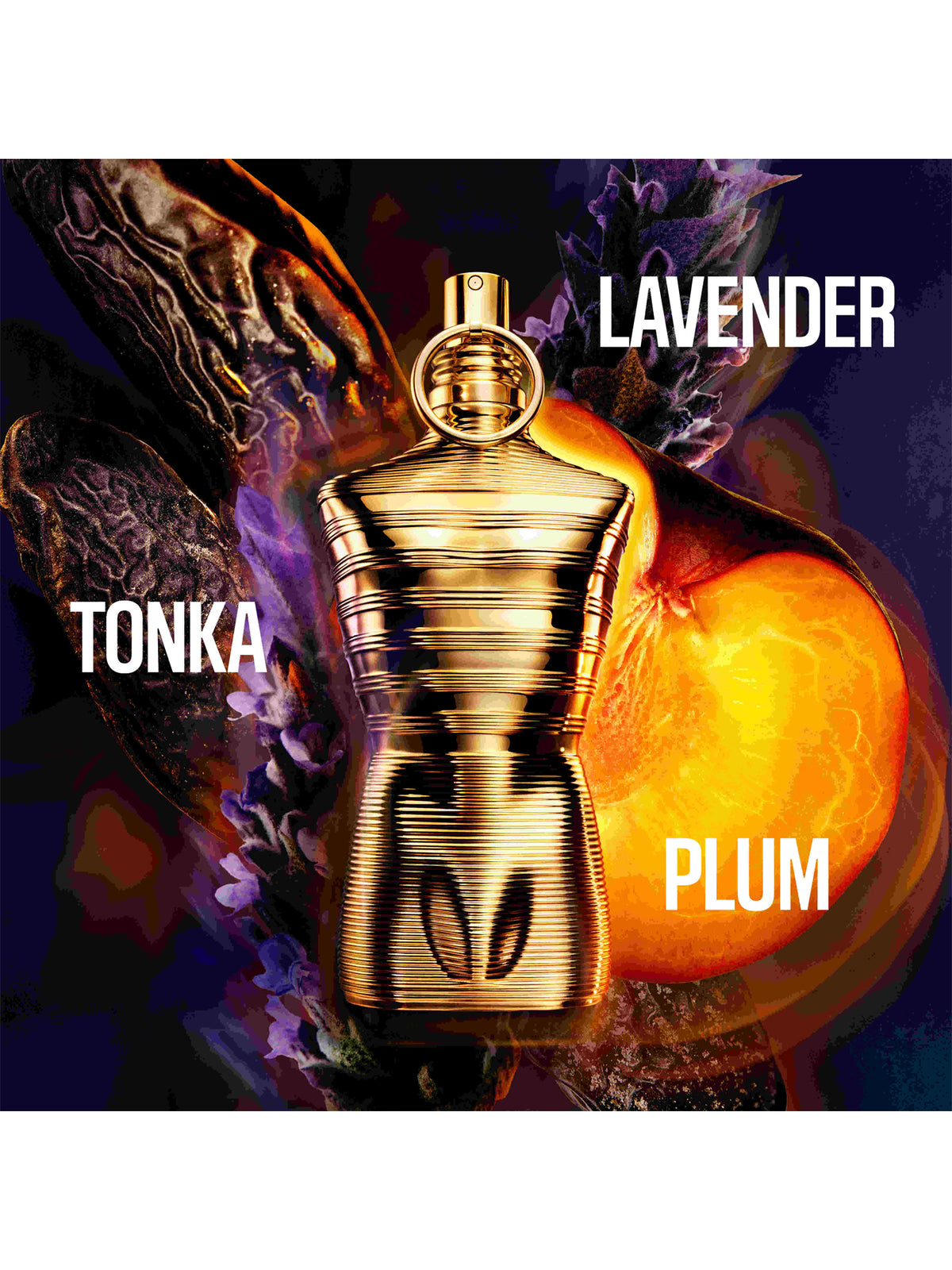 Le Male Elixir Absolu Parfum Intense 200ml