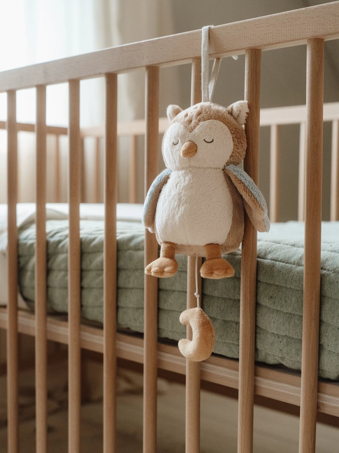 Forest Friends Owl Music Box Blue