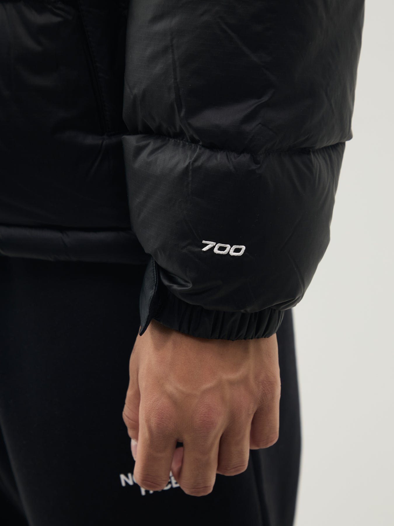 1996 Retro Nuptse Jacket