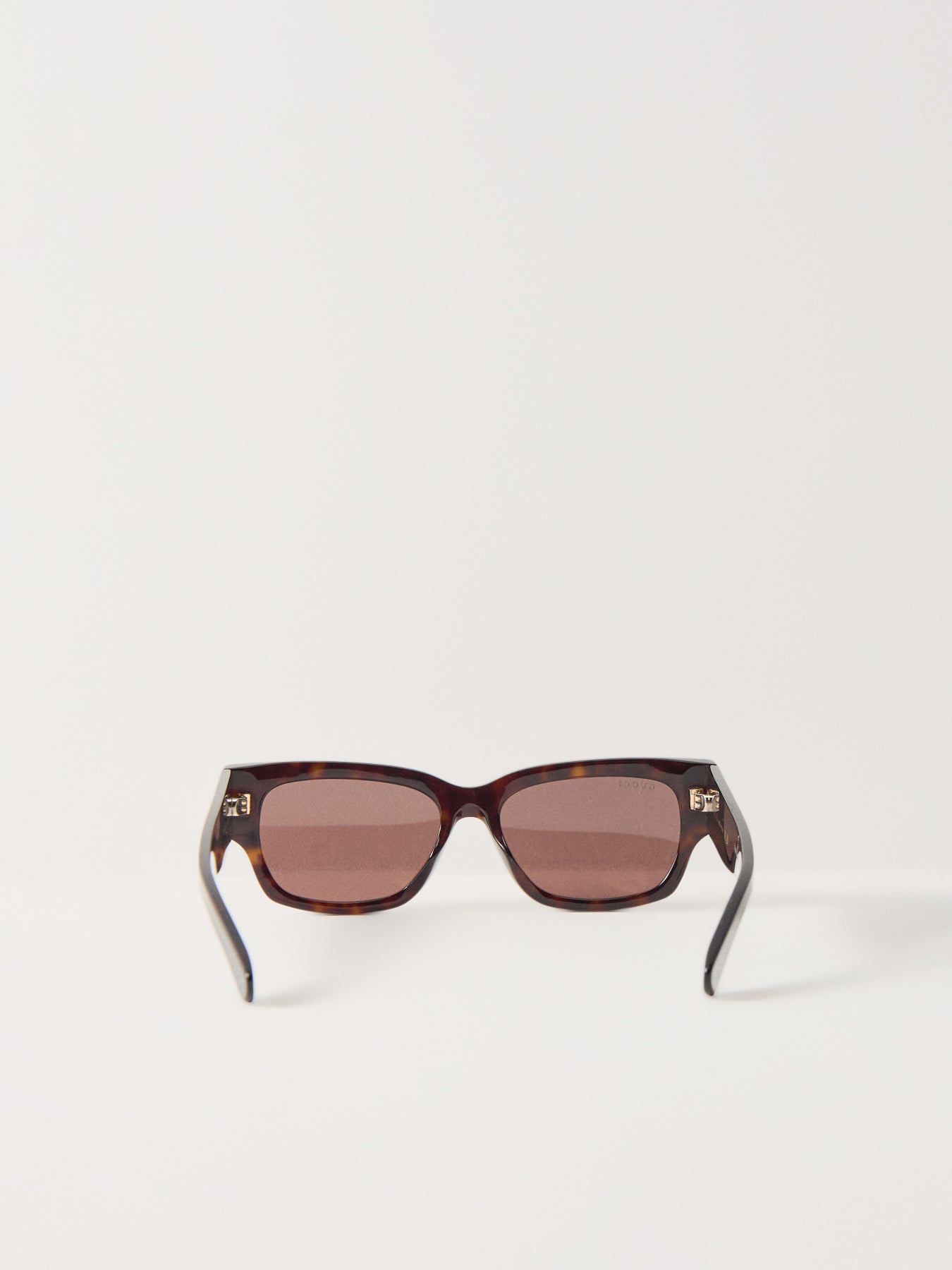GG1794S Recycled Acetate Sunglasses Havana Brown