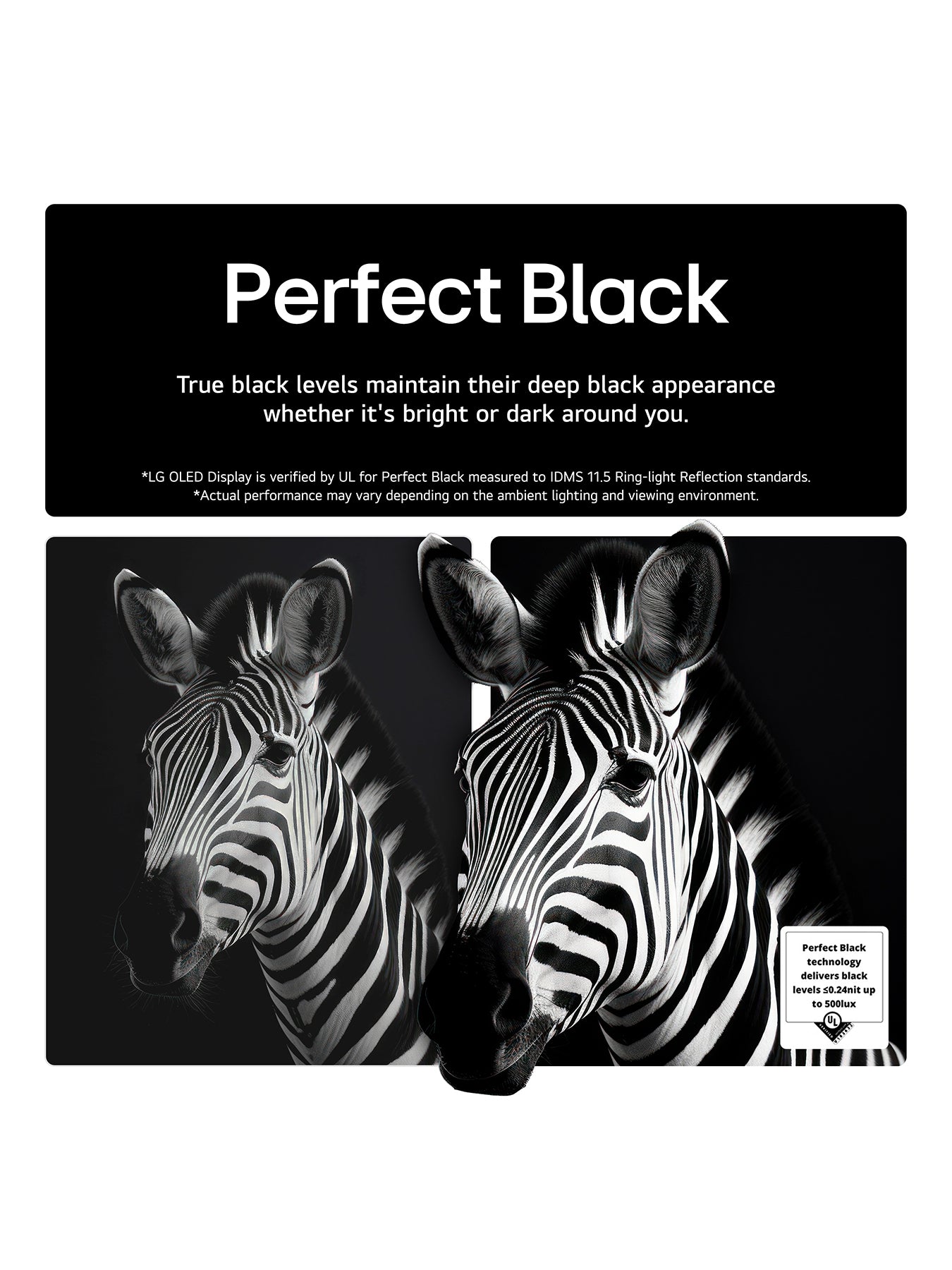 OLED55B56LA 55 Inch OLED AI 4K Smart TV (2025)