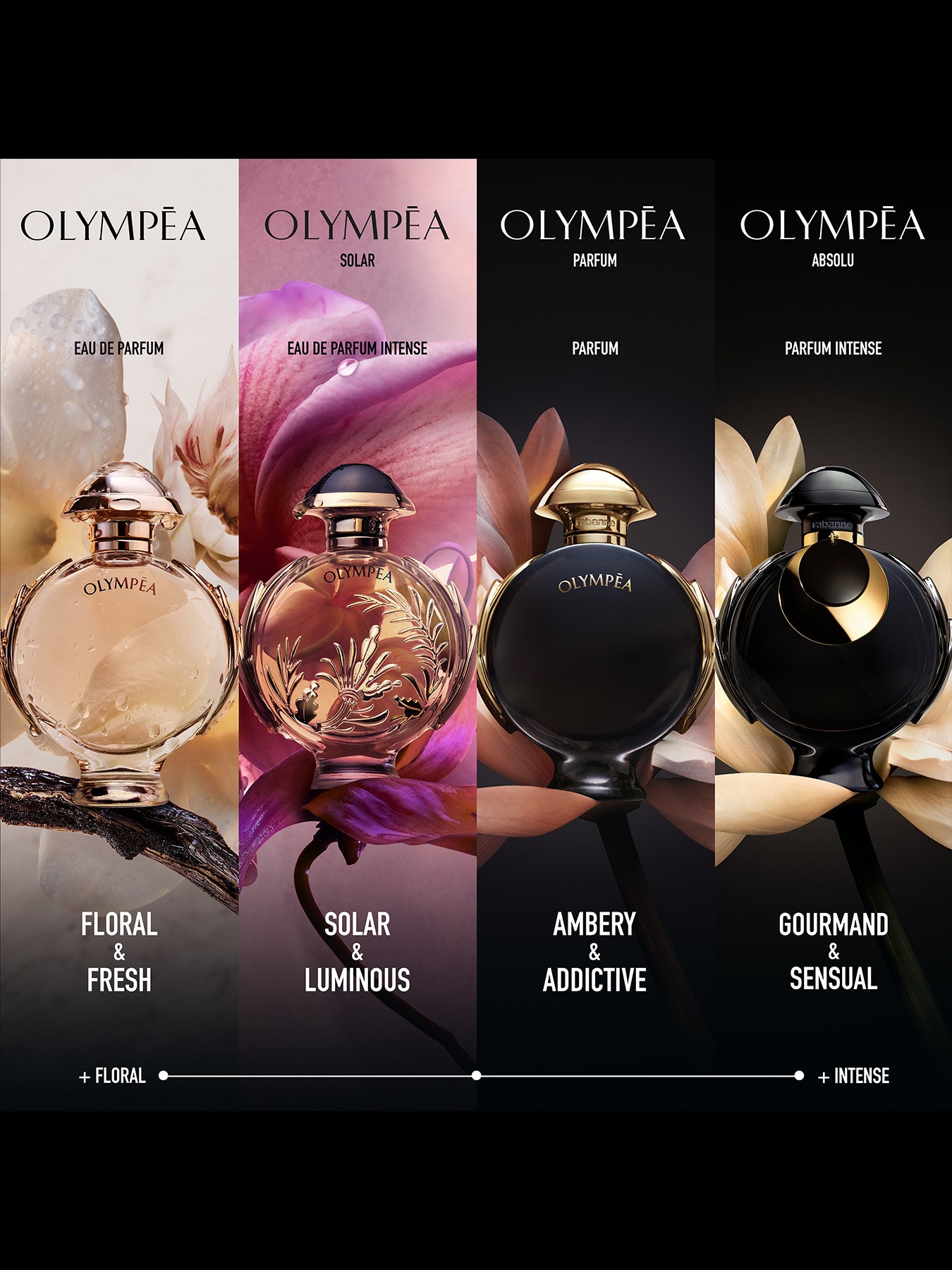 Olympea Absolu Parfum Intense 80ml