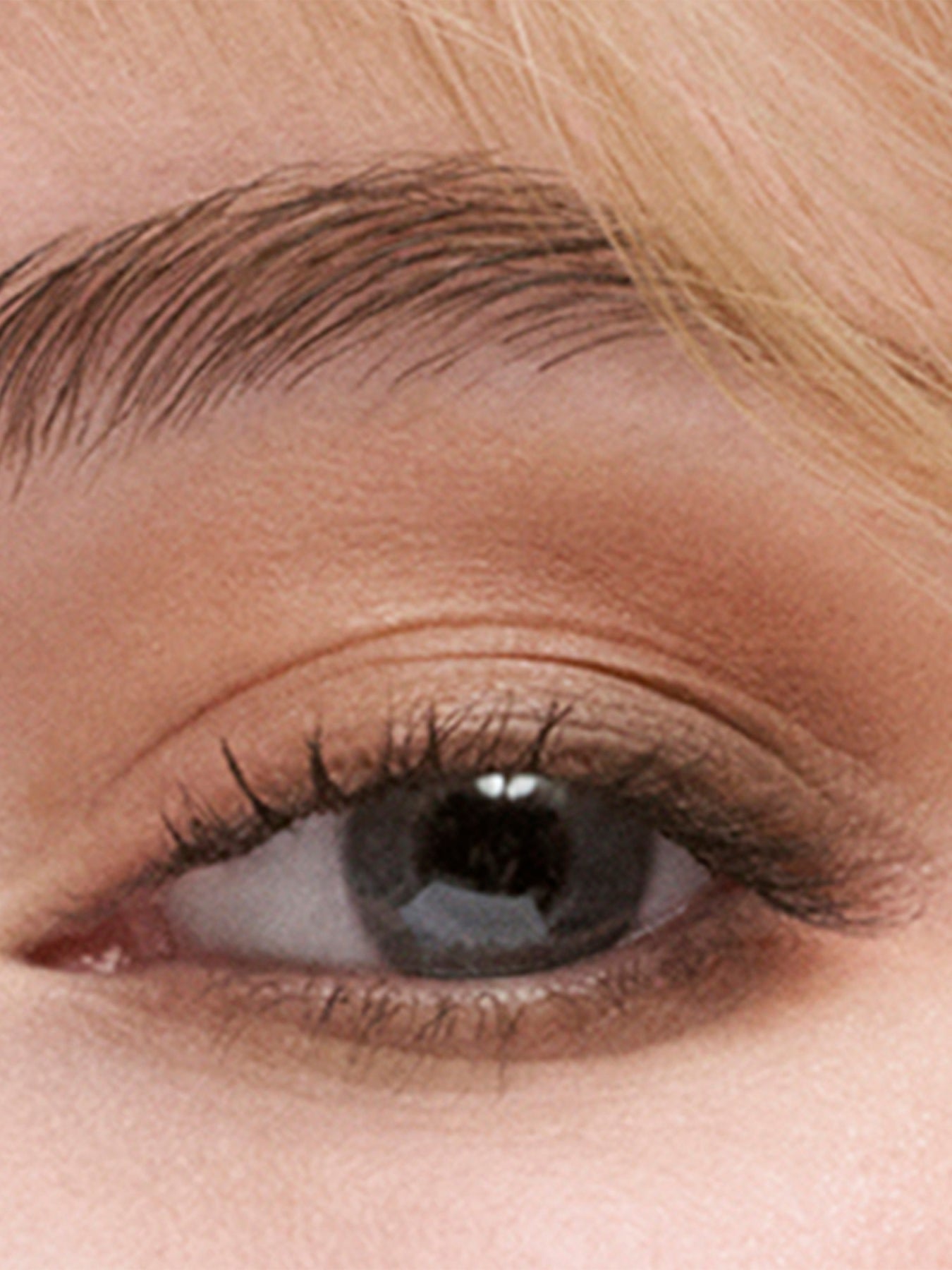 The Essential Eyeshadow Quad