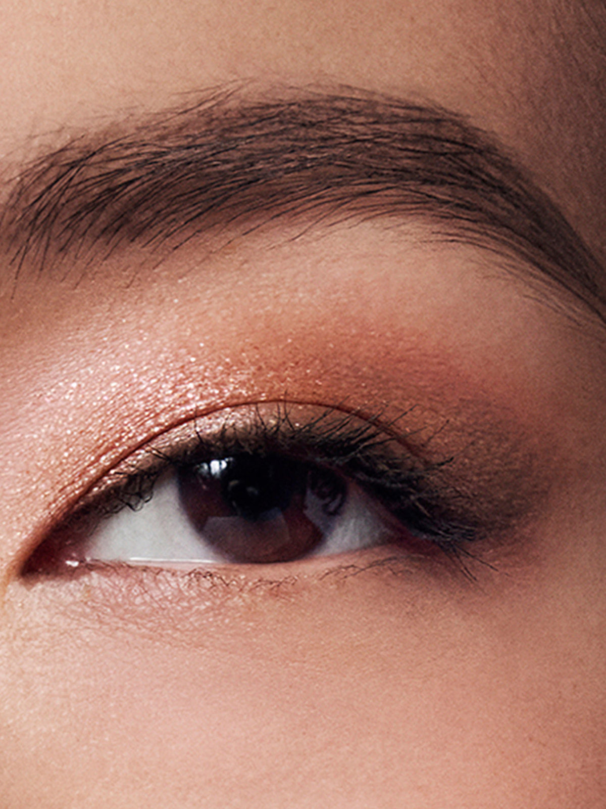 The Essential Eyeshadow Quad