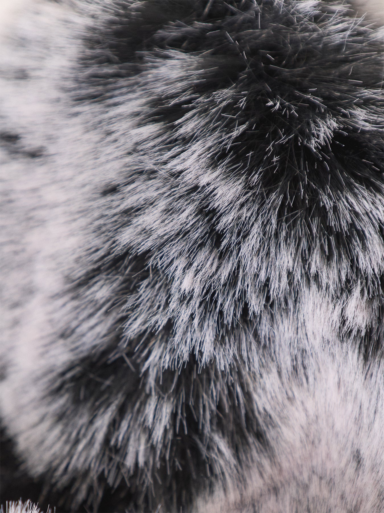 Faux Fur Trim Gloves Black