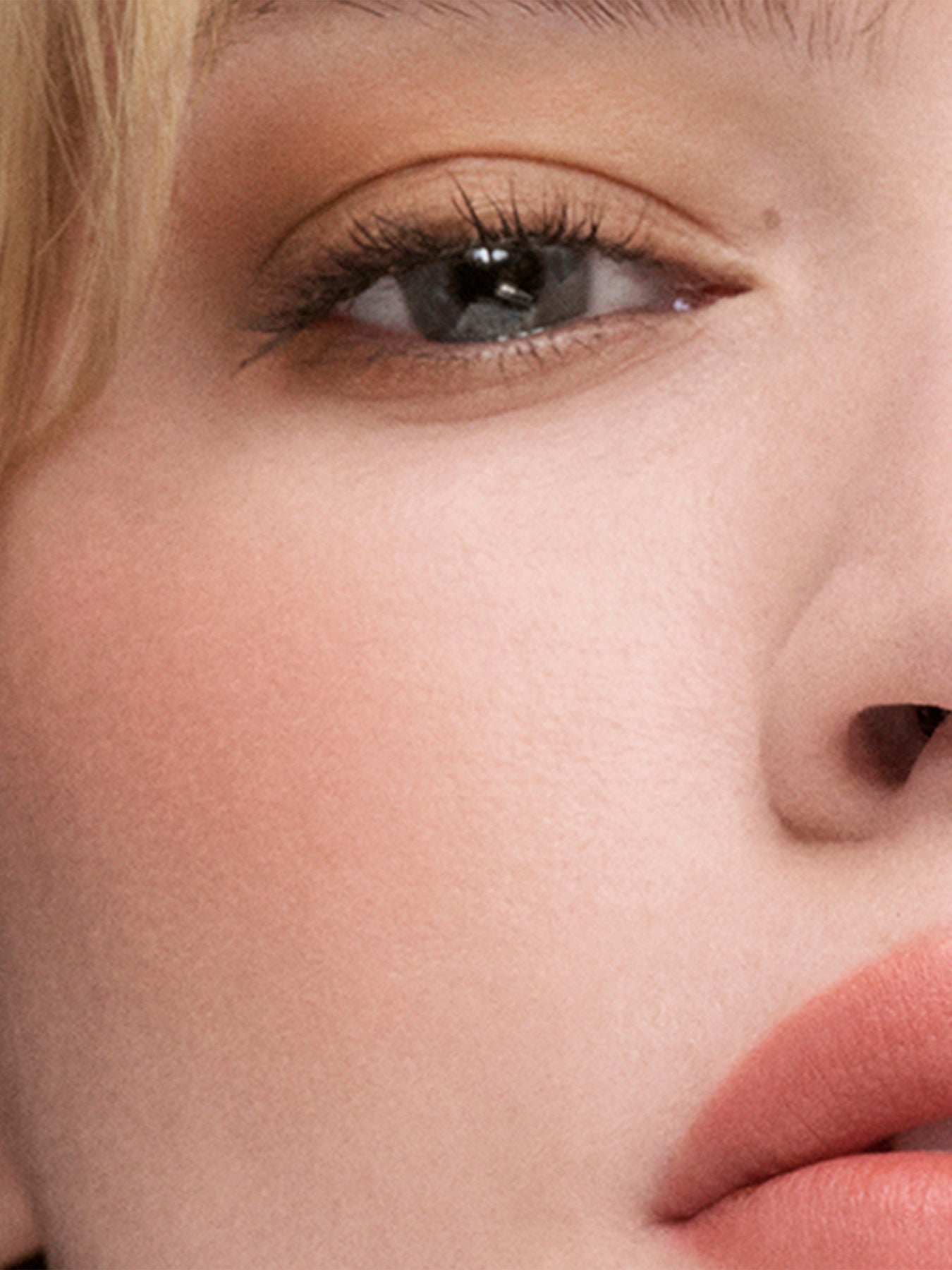 The Sculpting Blush