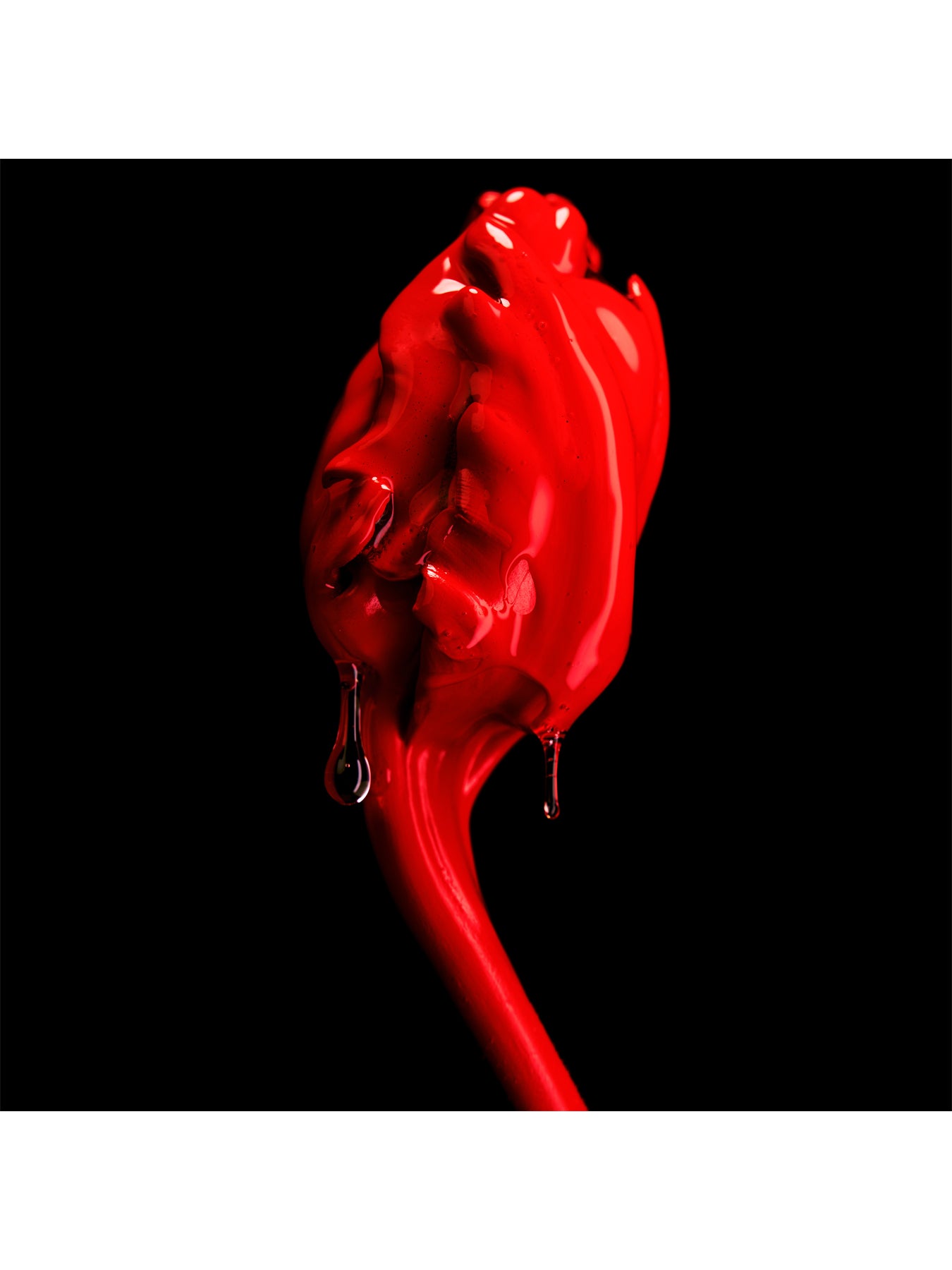 Rose Of No Mans Land Absolu De Parfum 100ml