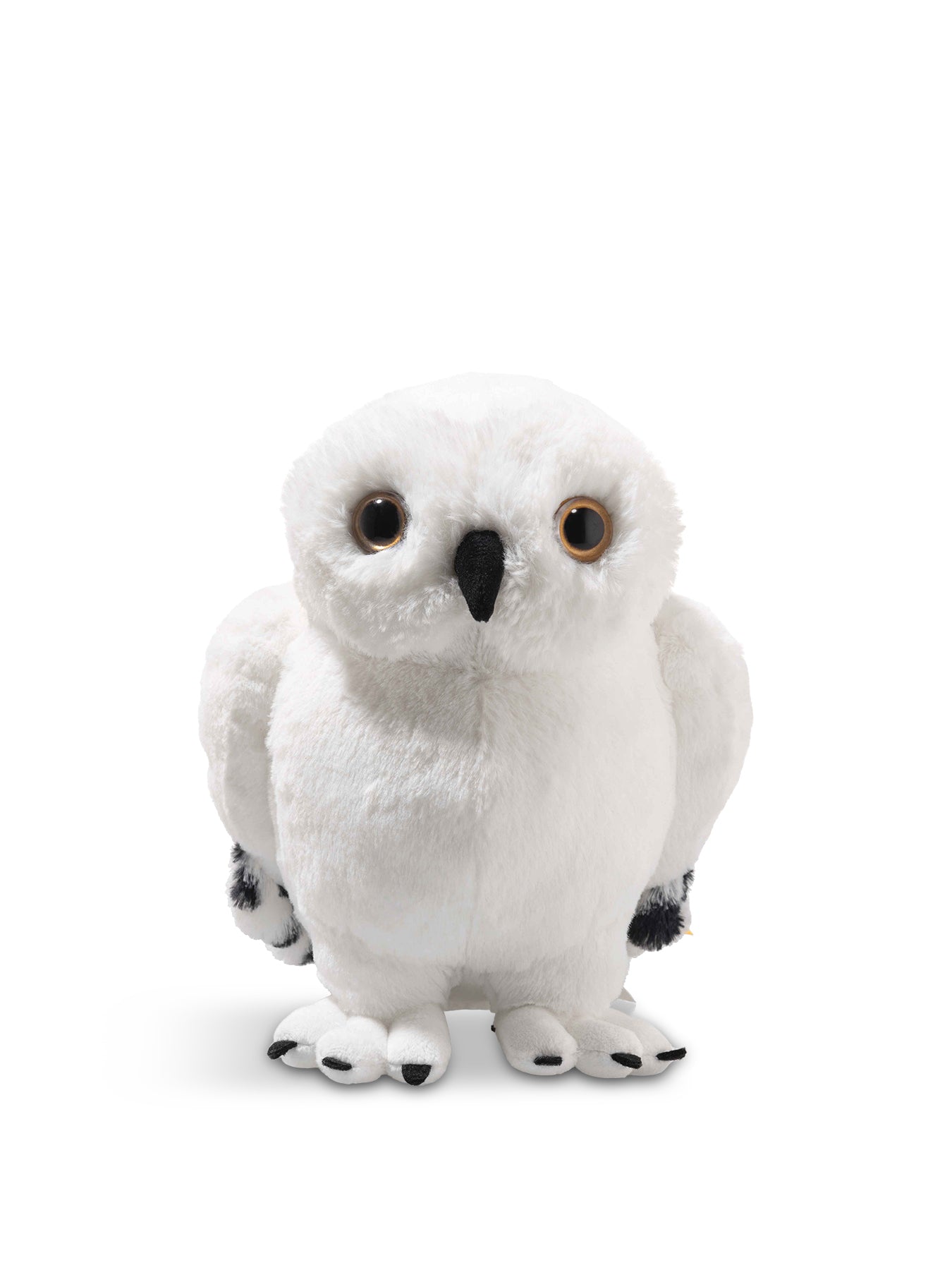 Hedwig Owl