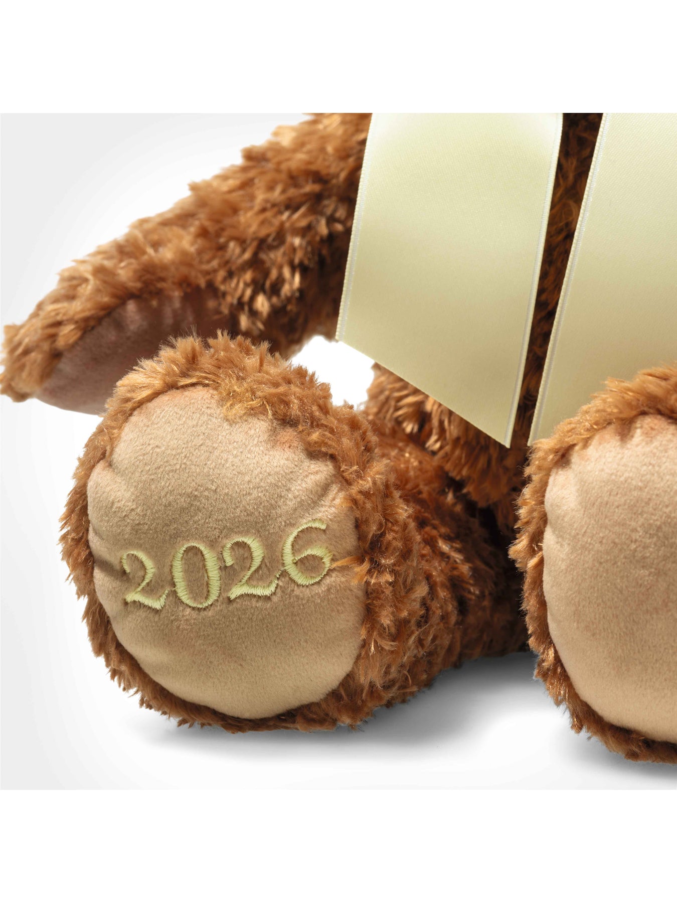 Cosy Year Bear 2026
