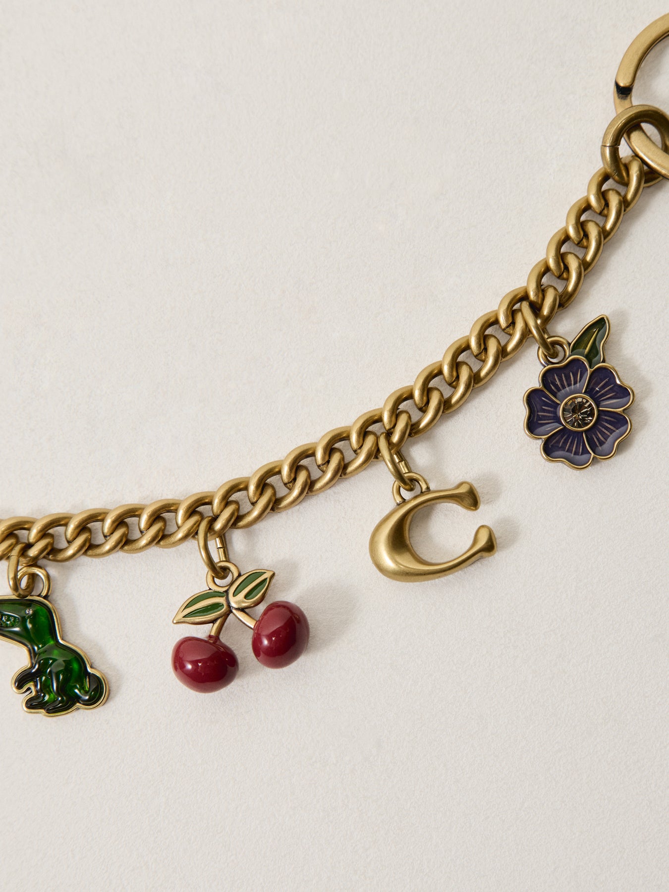 Motif Chain Bag Charm Multi