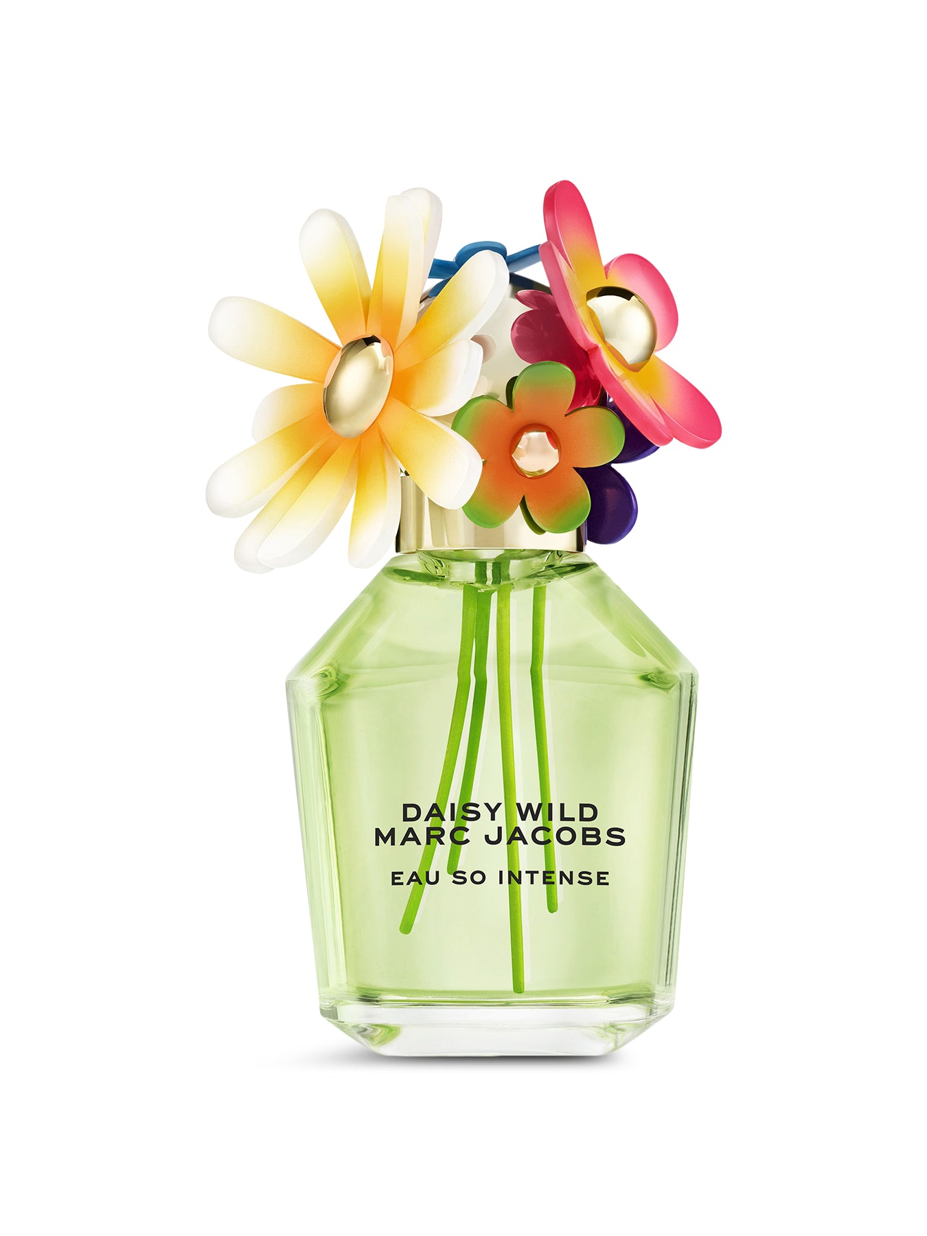 Daisy Wild Eau So Intense Eau de Parfum 100ml