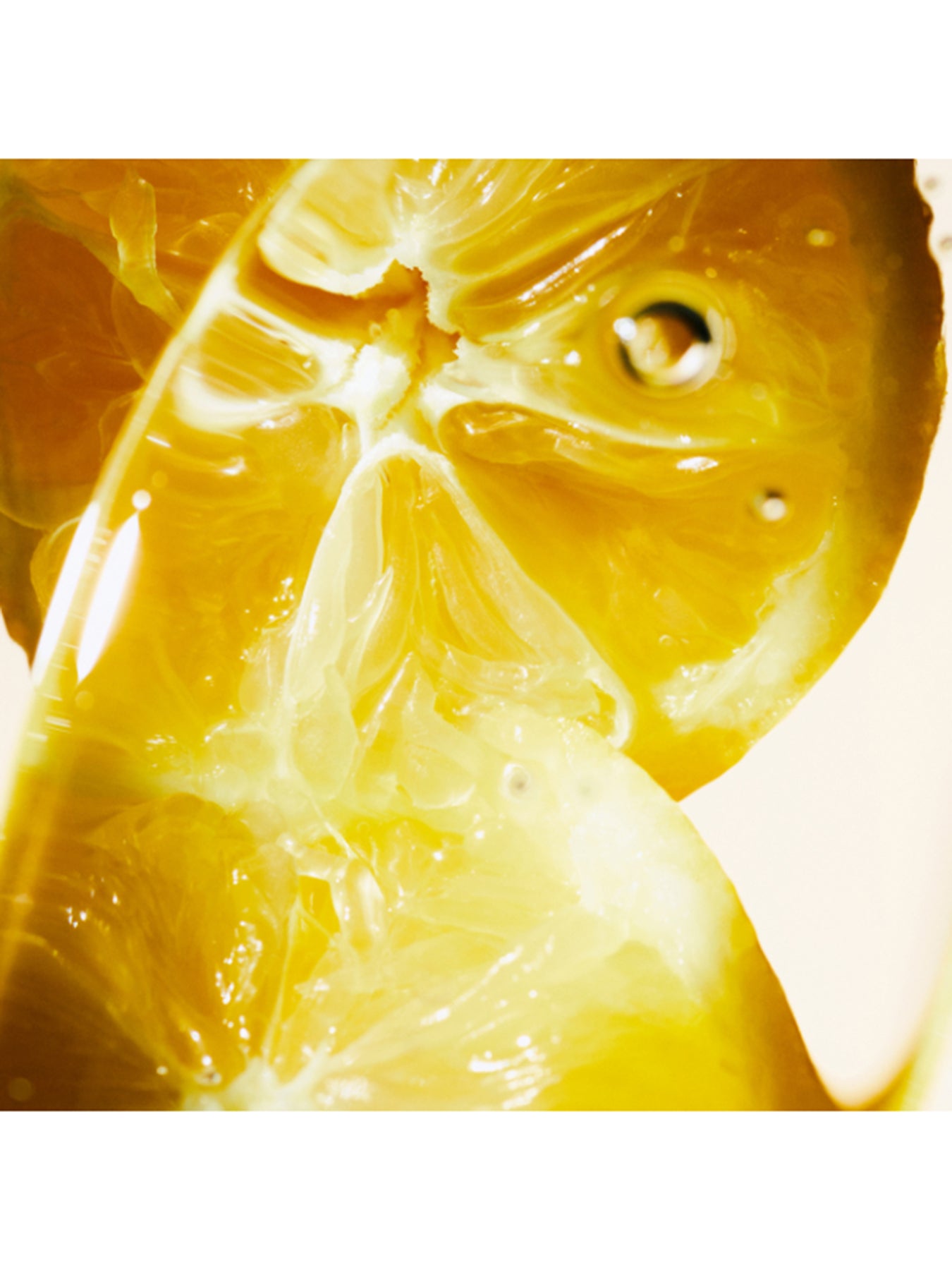 Yuzu Tree Hand Lotion Refill 450 ml