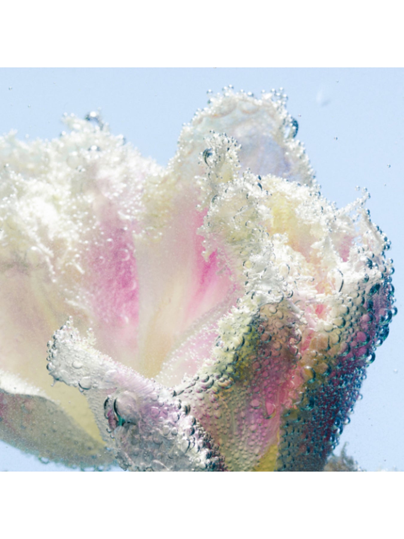 Tulipmania Hand Lotion Refill 450 ml