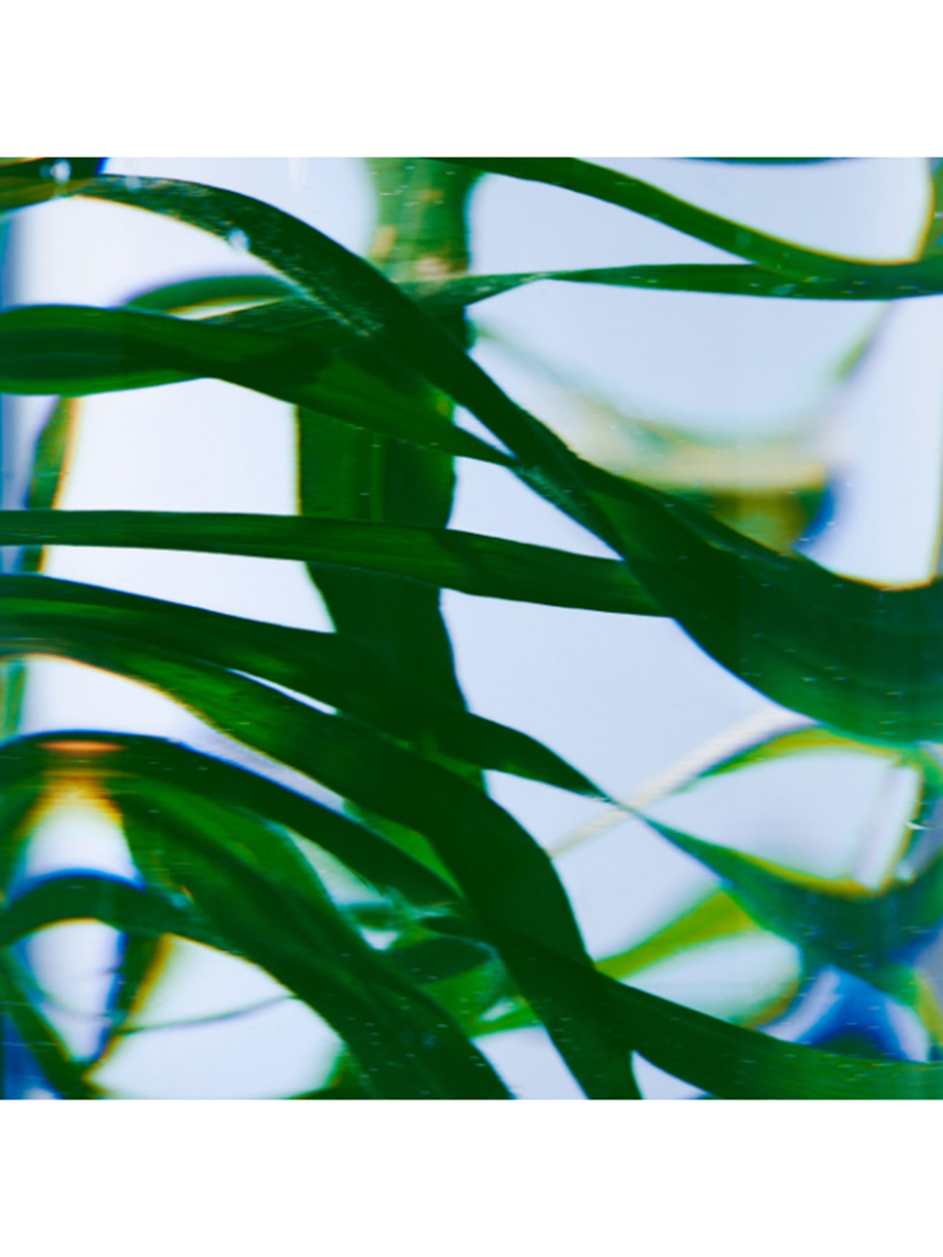 Vetyver Hand Lotion Refill 450 ml