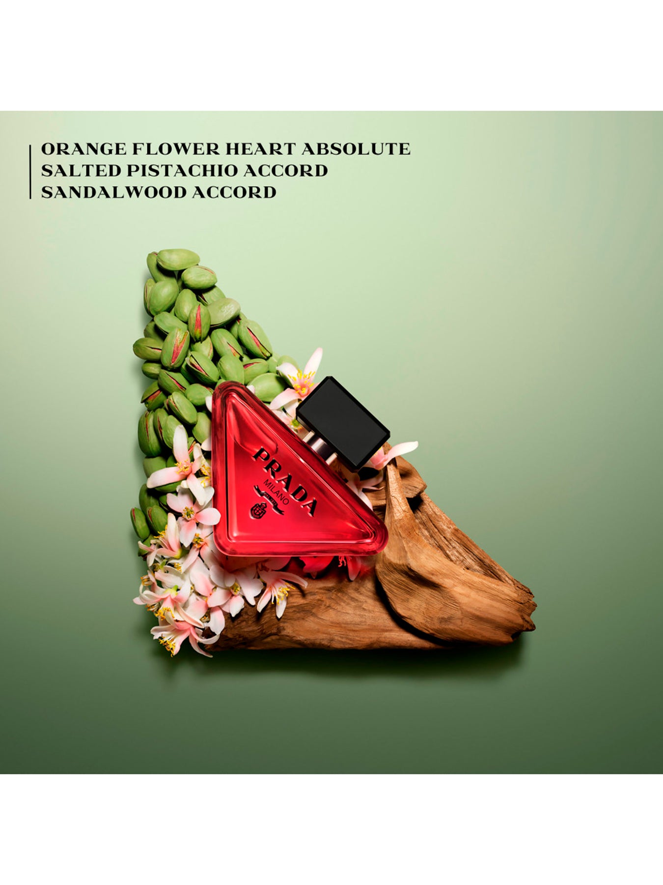 Paradoxe Radical Essence Parfum Refill 100ml