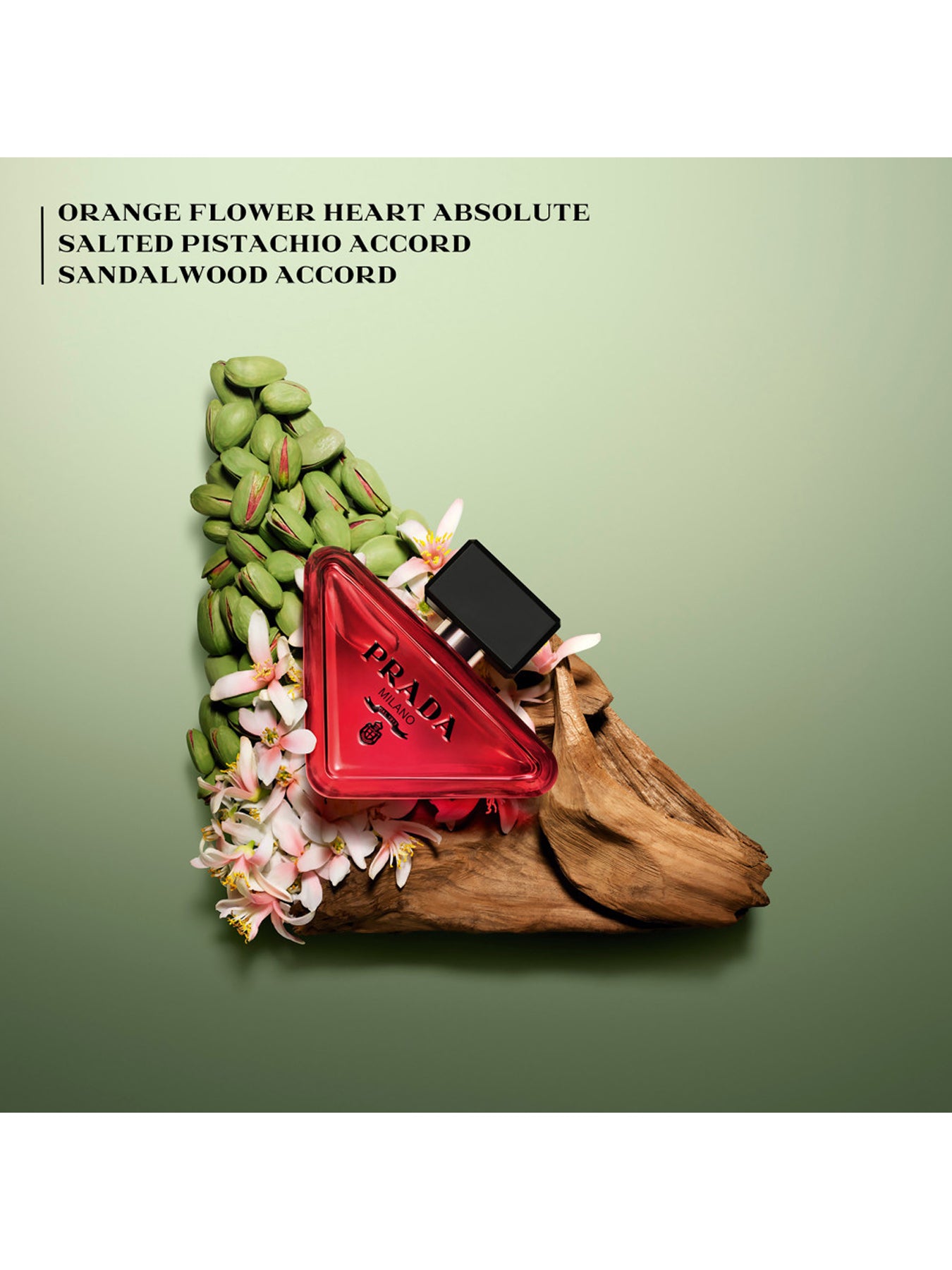 Paradoxe Radical Essence Parfum 90ml