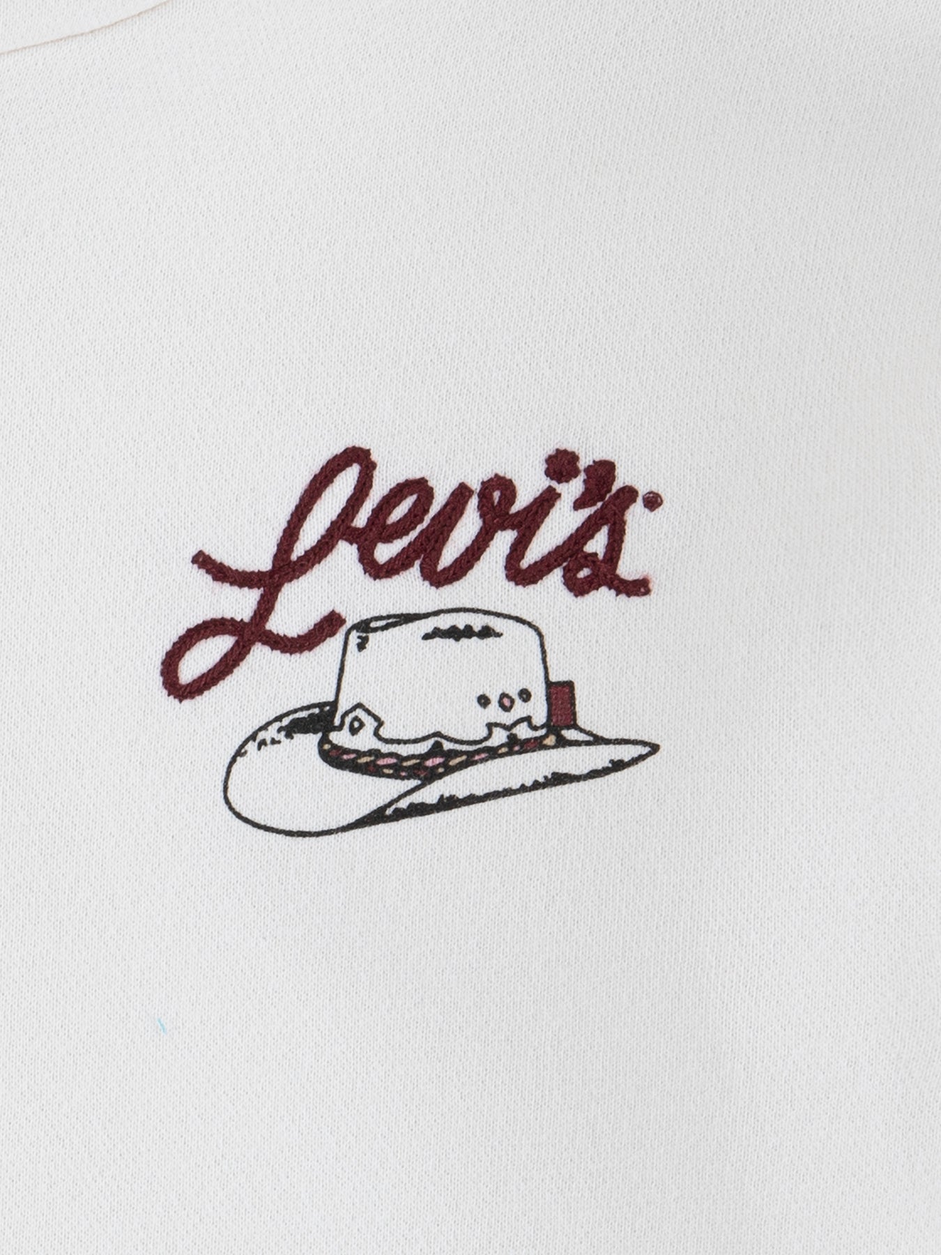 Kids’ Meet and Greet Western Hoodie