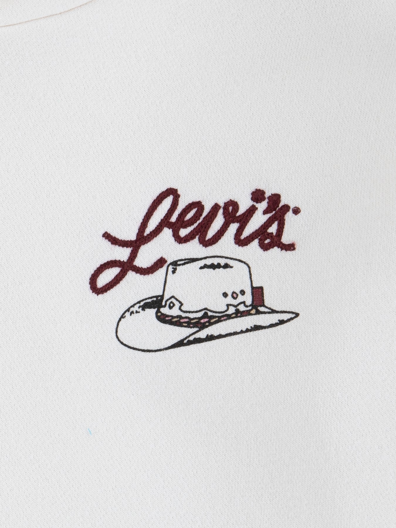 Meet and Greet Western Hoodie