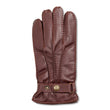Chestnut