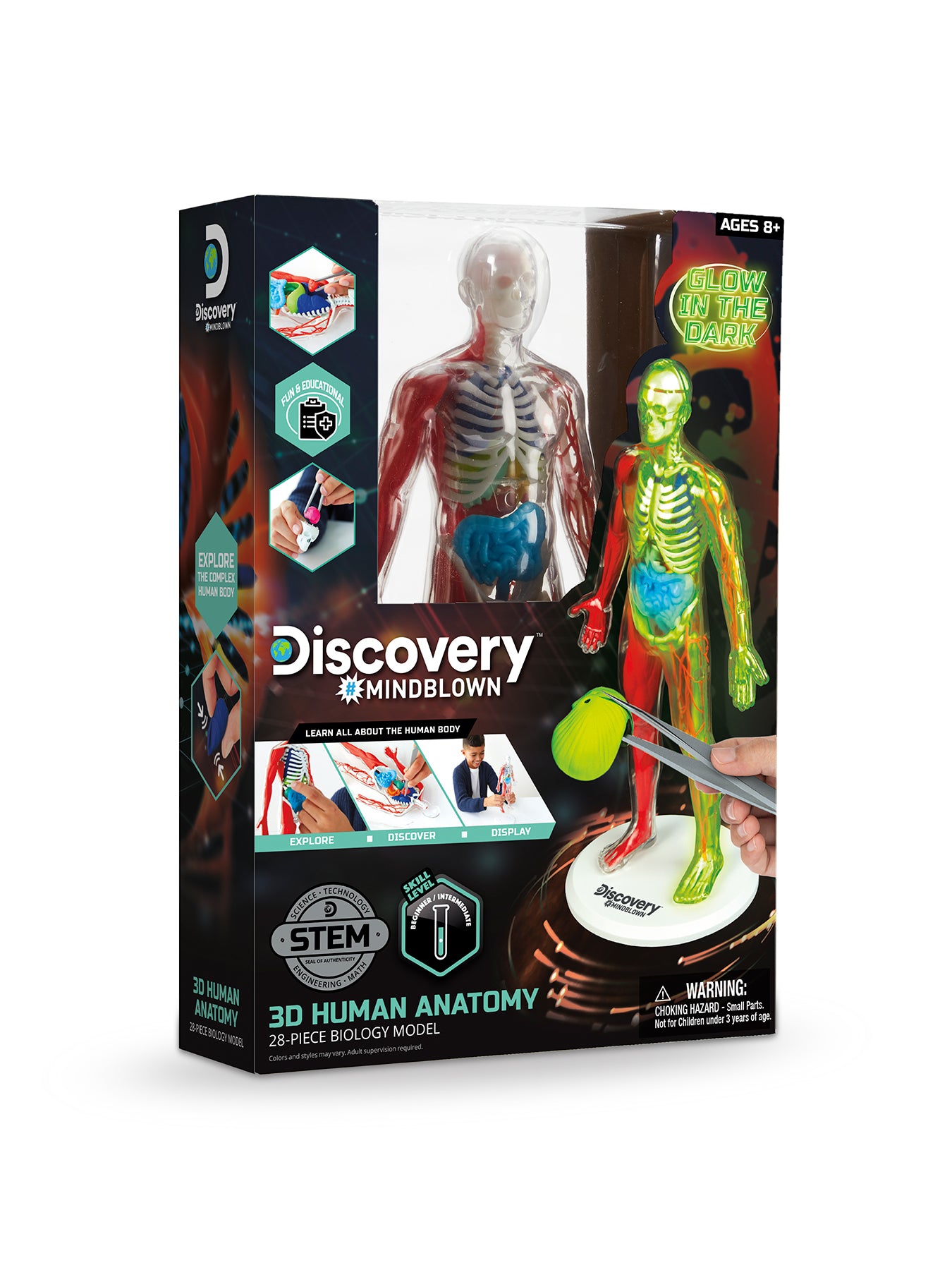 Anatomy Glow Kit