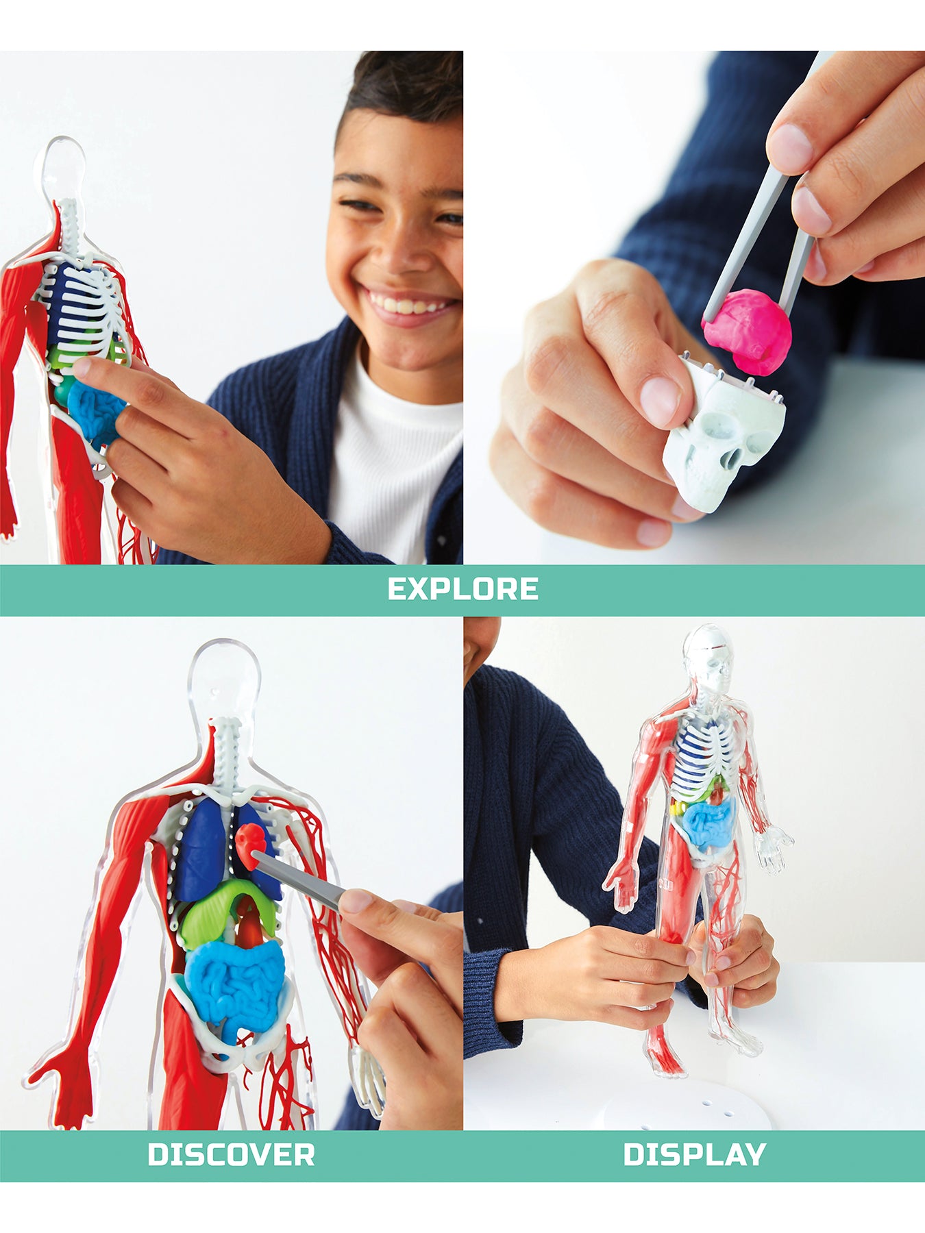 Anatomy Glow Kit