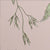 Multi